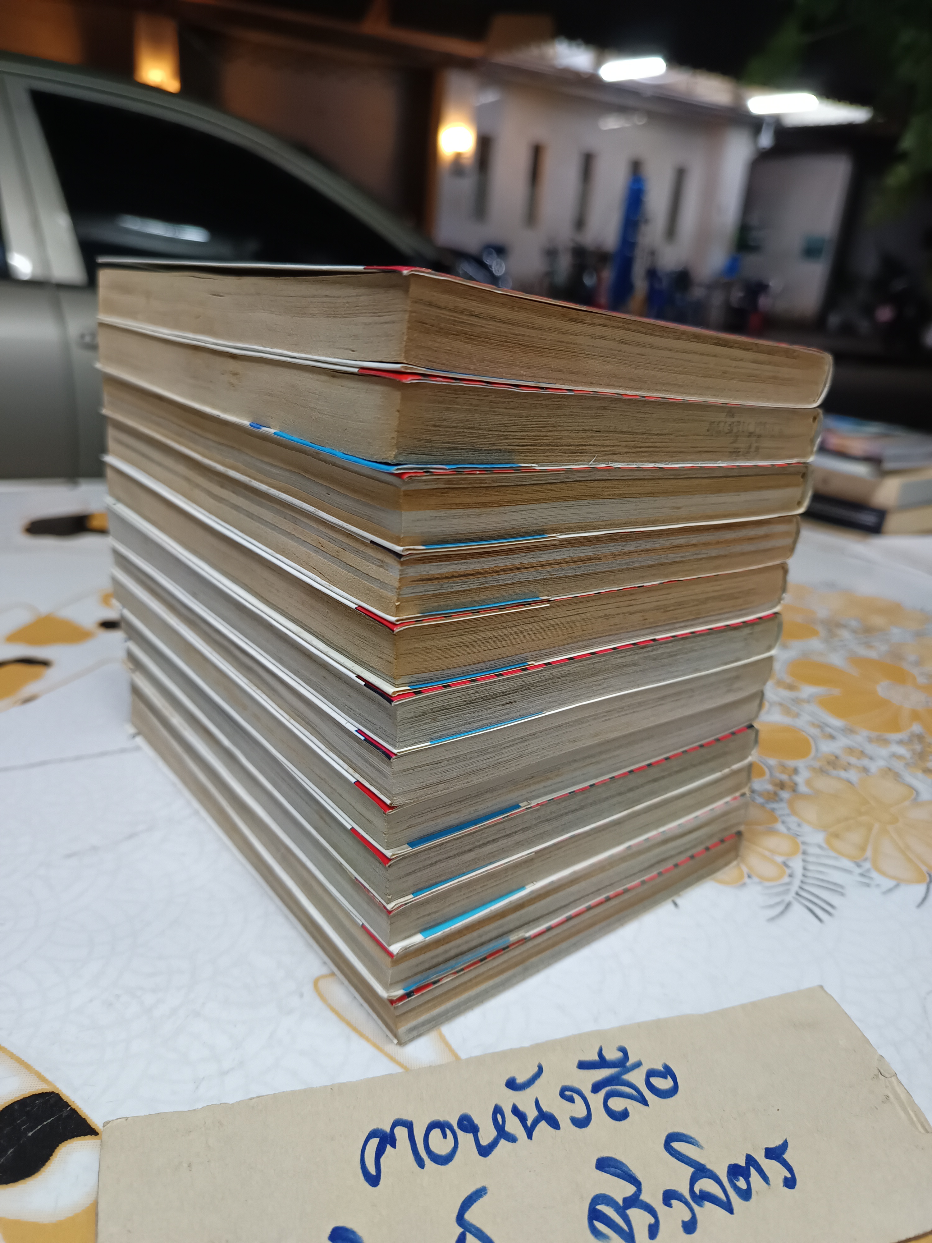 คู่แฝด x 2 แฝดแบบนี้มีอีกไหม (12 เล่มจบ)