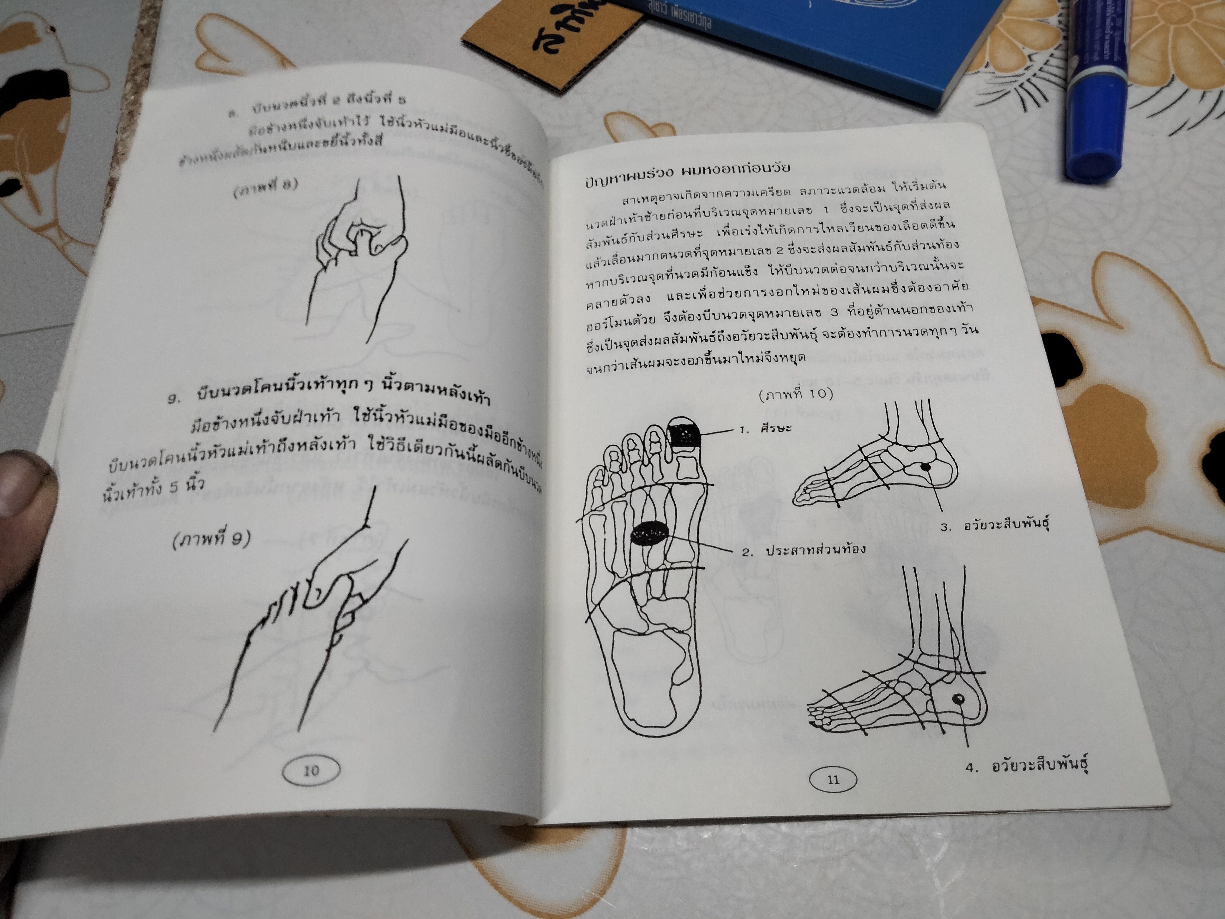 คู่มือหมอประจำครอบครัว ศาสตร์แห่งเท้า โดย สุเชาว์ เพียรเชาว์กุล **สินค้าหมด**