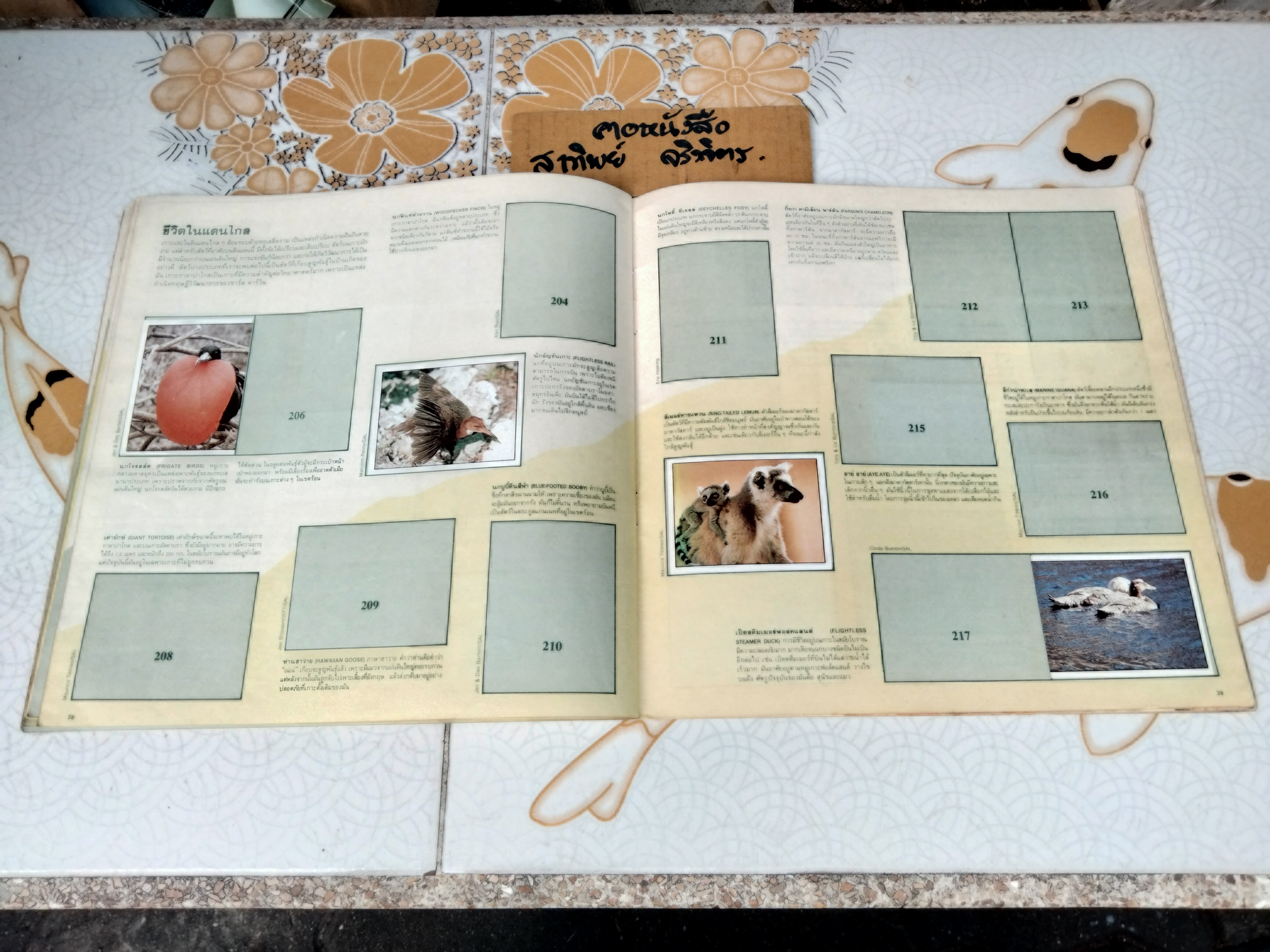 สมุดสะสมสติกเกอร์ ชีวิตสัตว์โลก (แปะไป 66 รูป/ 240 รูป)