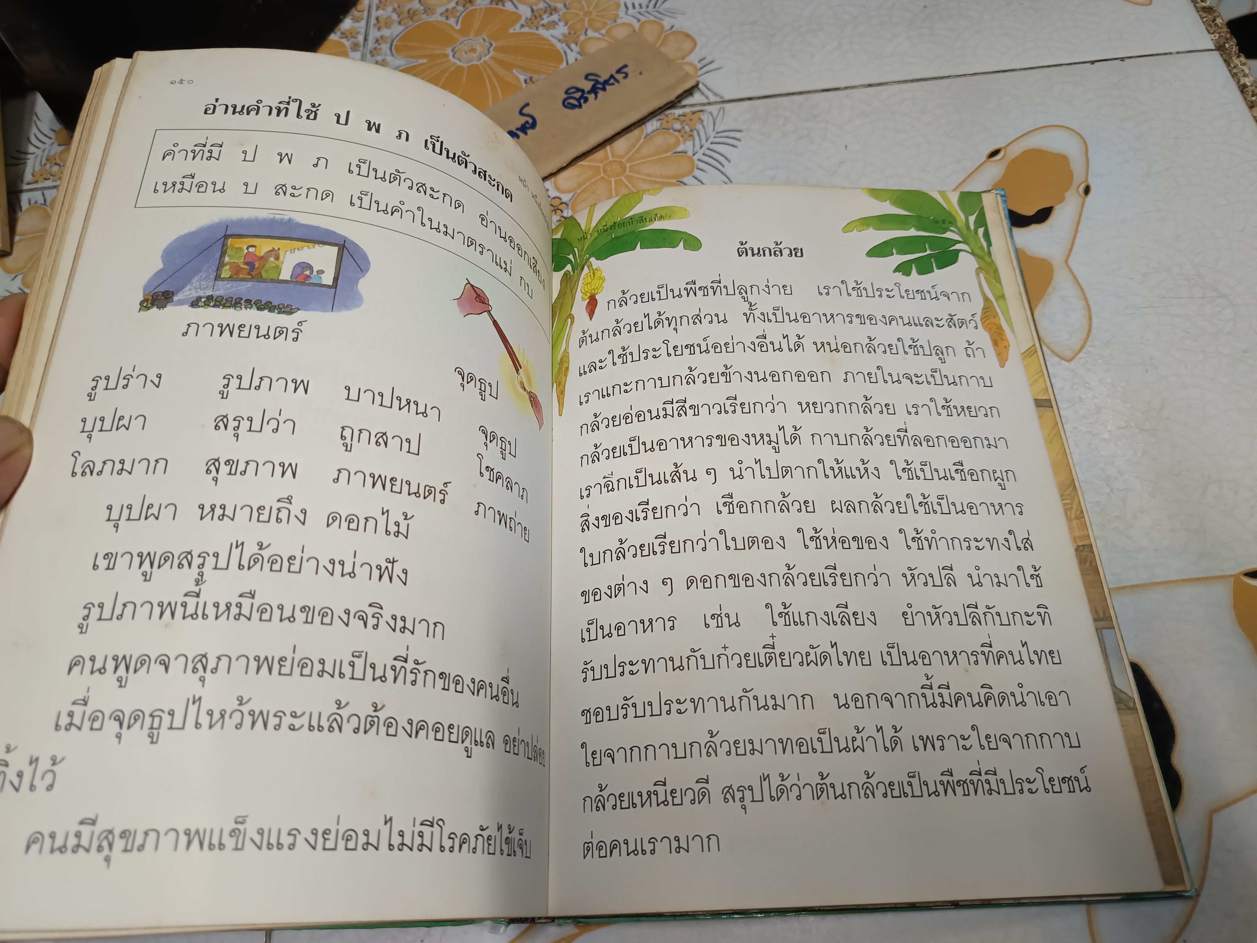 หนังสือเรียนภาษาไทย ชุดพื้นฐานภาษา ชั้นประถมศึกษาปีที่ 2 เล่ม 2 (ฉบับปรับปรุง พุทธศักราช 2533) - ปกแข็ง **สินค้าหมด**