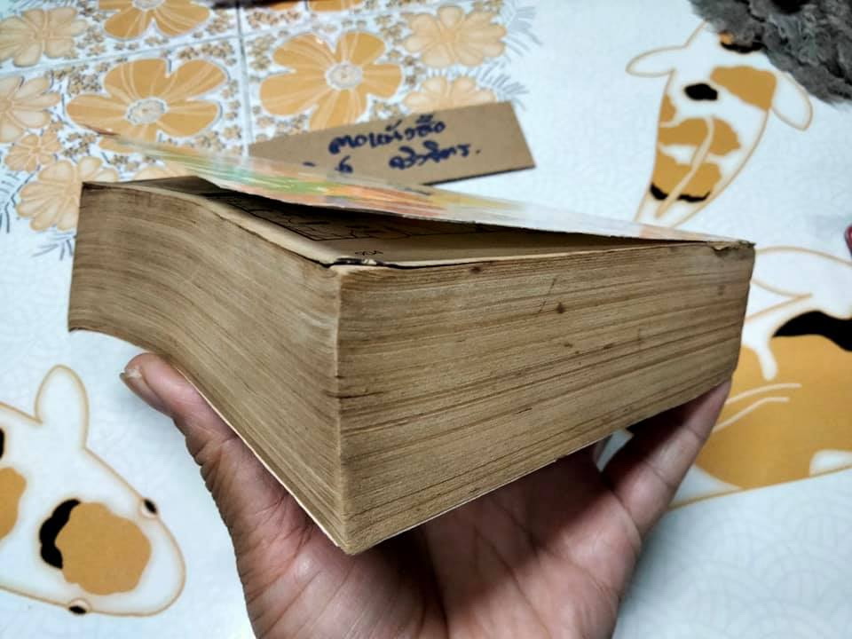 สาวเฮ้วอย่างเธอจะขอเฮี้ยนให้สะใจ (เล่มเดียวจบ) Fujita Kazuko การ์ตูน เคเค