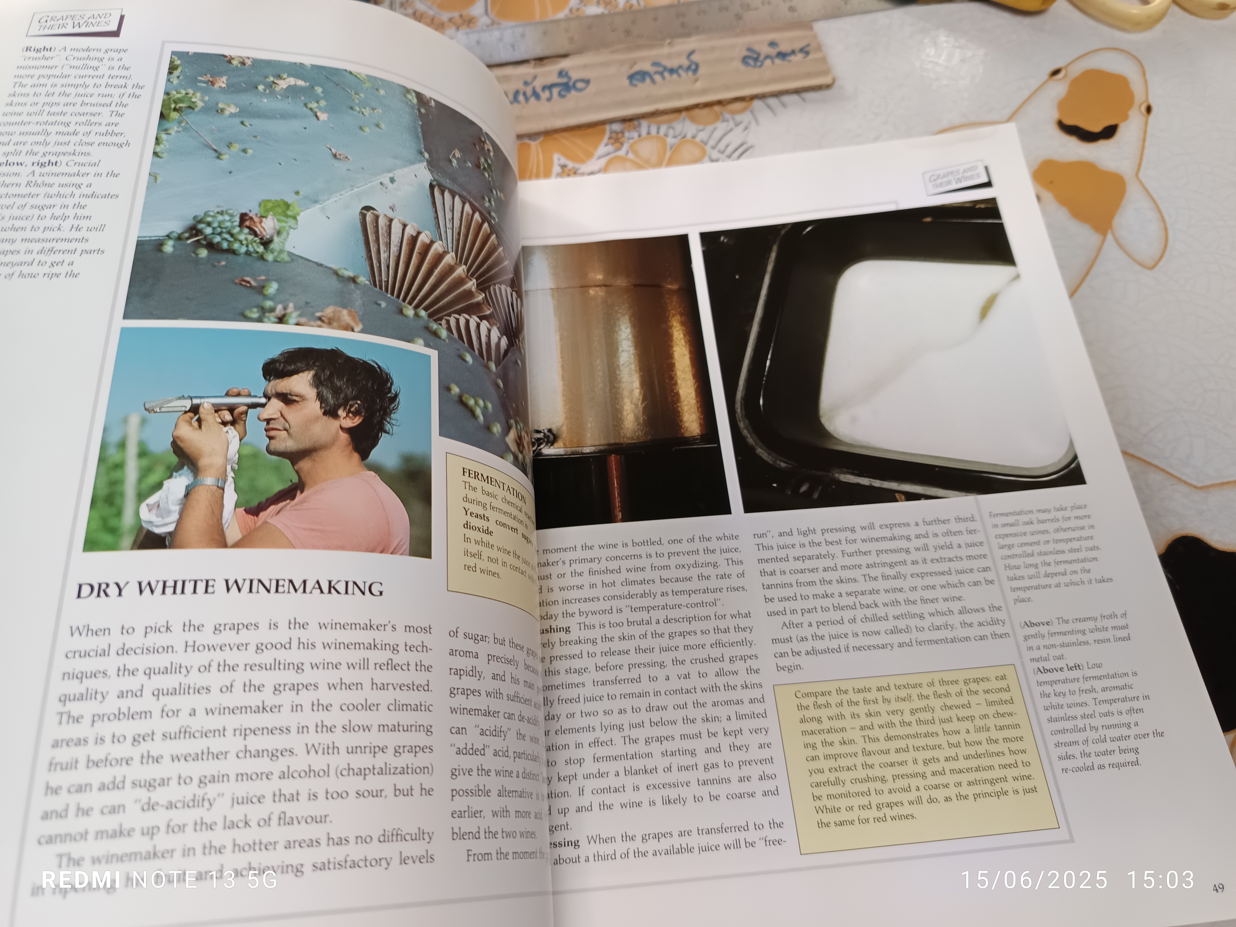 Understanding Wine : A Guide to Winetasting and Wine Appreciation By Michael Schuster