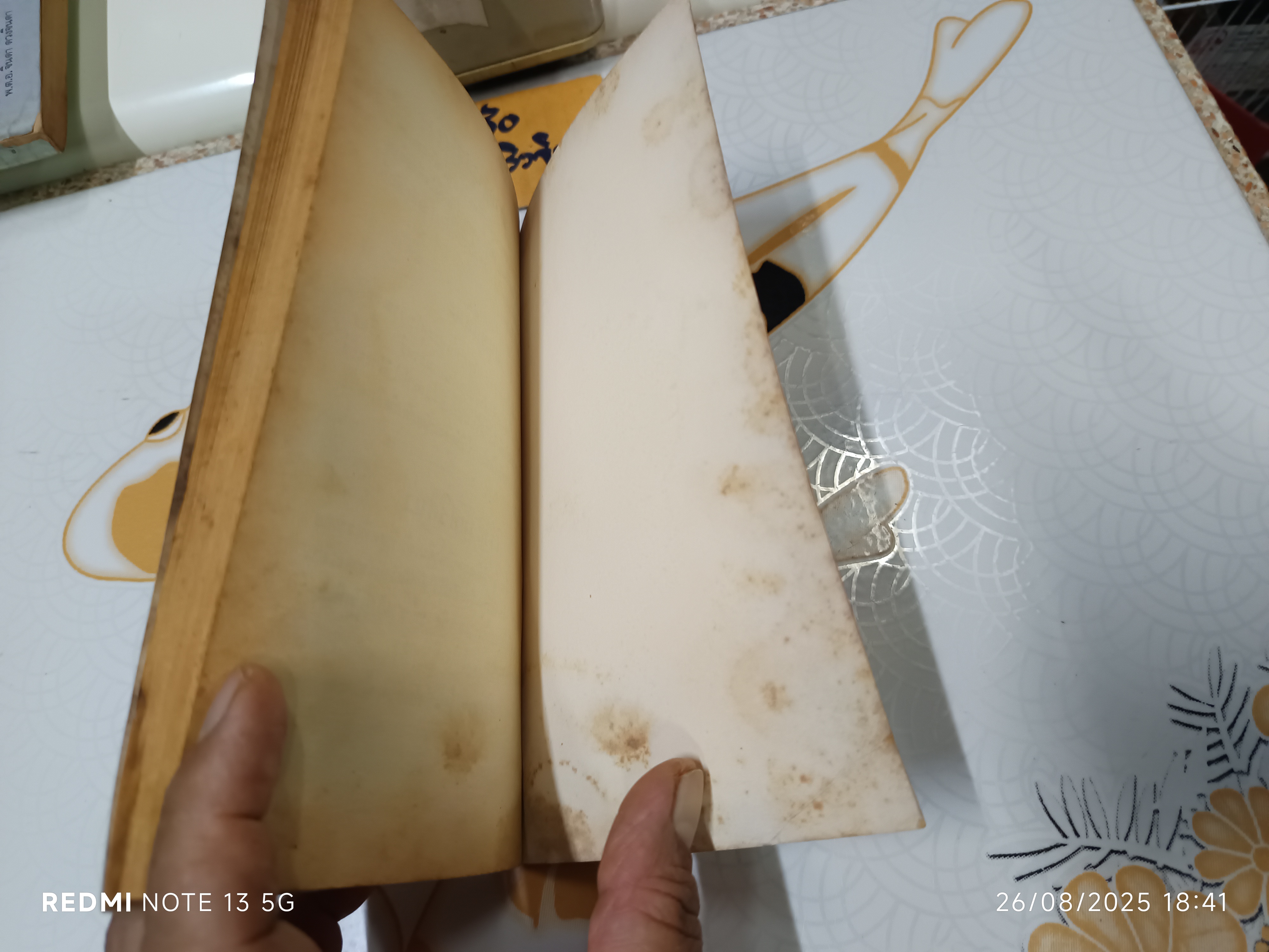 5 สหายผจญภัย ภาค 2 ตอน เรือมหาสมบัติ ผลงานของ โคลด วัวลิเย์ แปลโดย กัณหา แก้วไทย สำนักพิมพ์แก้วกานต์