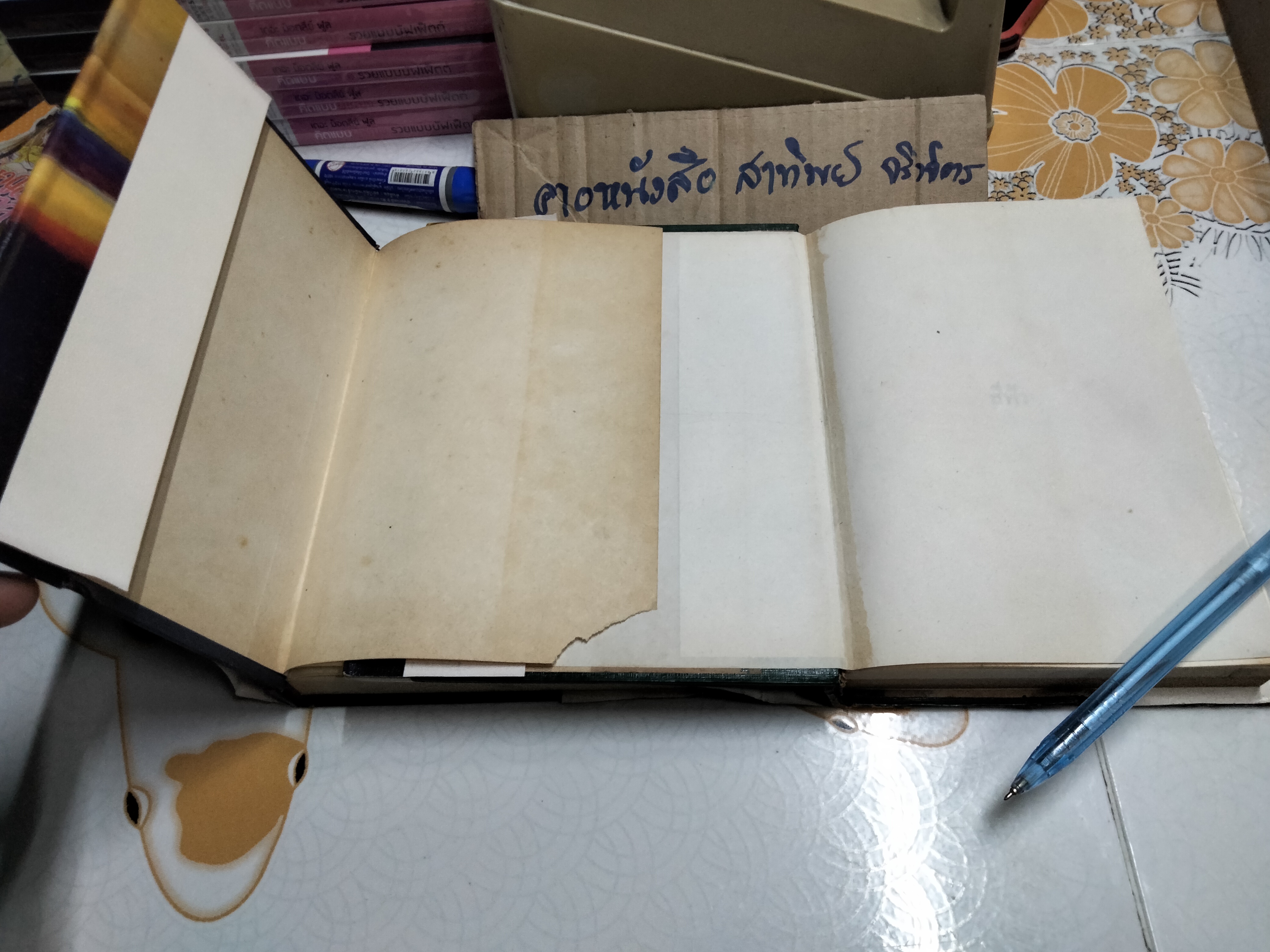 แผ่นดินนี้ยังรื่นรมย์ (2 เล่มจบ) - สีฟ้า **สินค้าหมด**