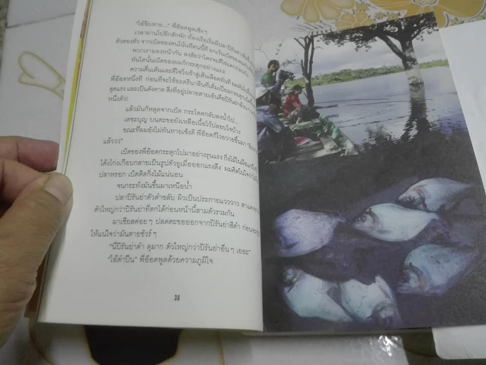 เถื่อนเจ็ด + เถื่อนแปด โดย วรรณสิงห์ ประเสริฐกุล **สินค้าหมด**