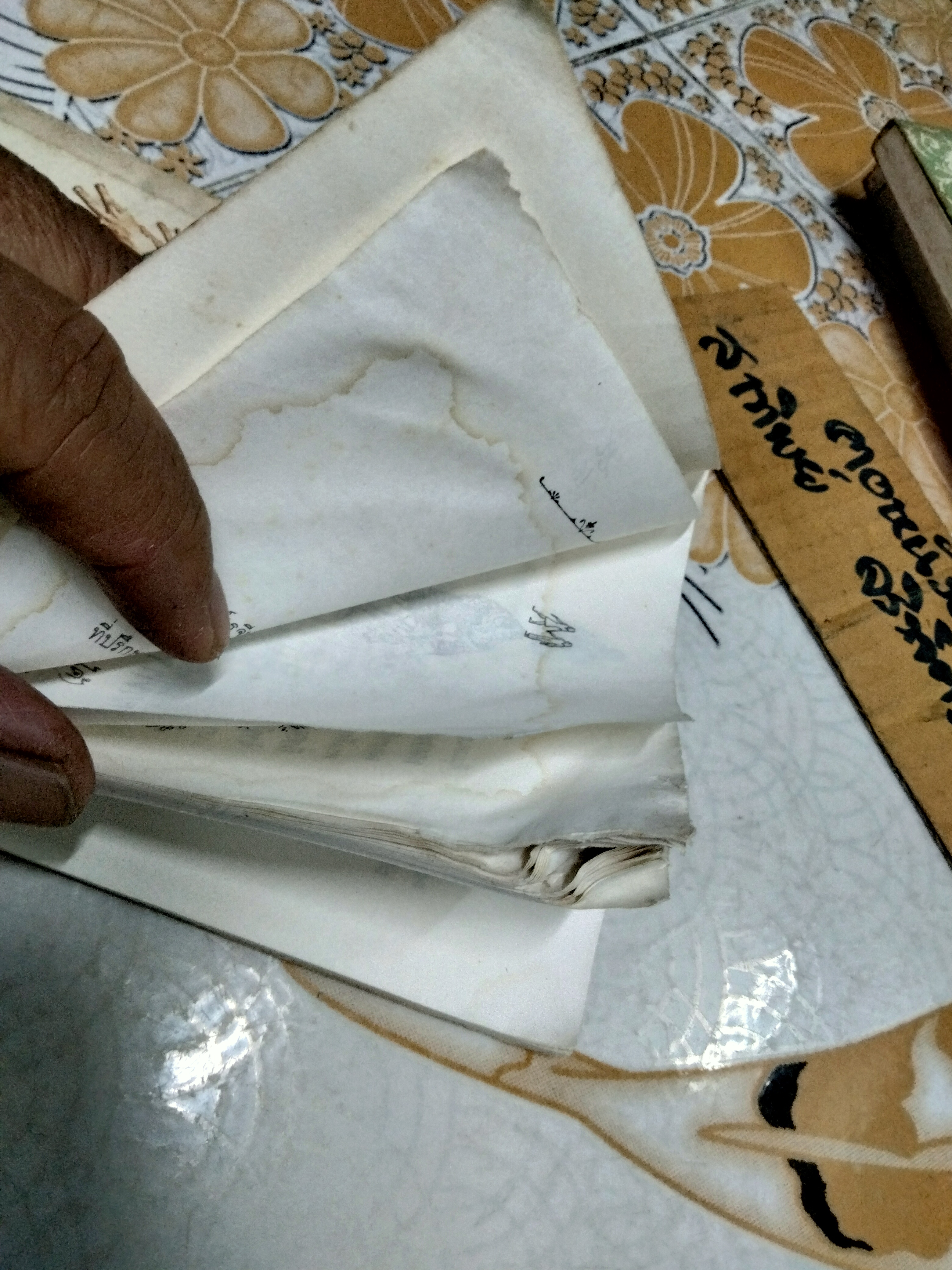 จาคอบ เจ้าหนูสอง-สอง (Jacob Two-Two Meets The Hooded Fang) ผลงานของ มอร์ดีไซ ริชเลอร์ (Mordecai Richler) / ลางชาง แปล **สินค้าหมด*"