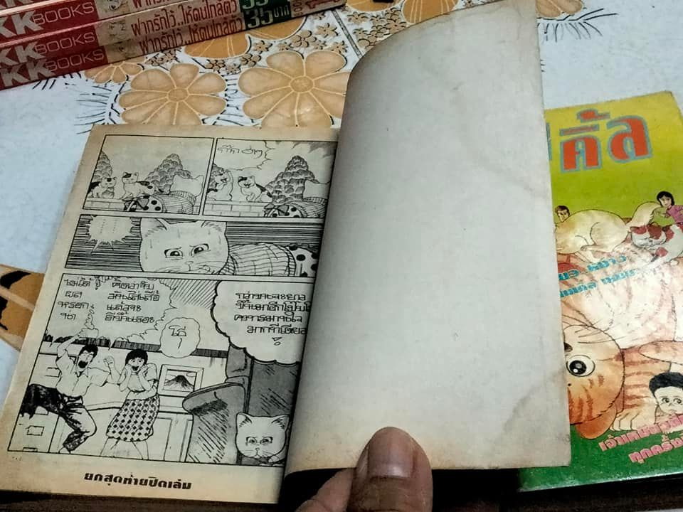 ไมเคิ้ลเหมียว (2 เล่มจบ) **สินค้าหมด**