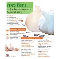 (Wakunaga®) KYOLIC® Aged Garlic Extract™ 100 แคปซูล Kyolic, Aged Garlic Extract, Cardiovascular ไคโอลิค กระเทียมบ่มสกัดไร้กลิน ออร์แกนิค สูตรดั้งเดิม