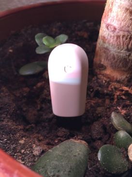 เซนเซอร์วัดค่าในดิน Xiao mi mi care plants Grass Flower Flora Digital Monitor