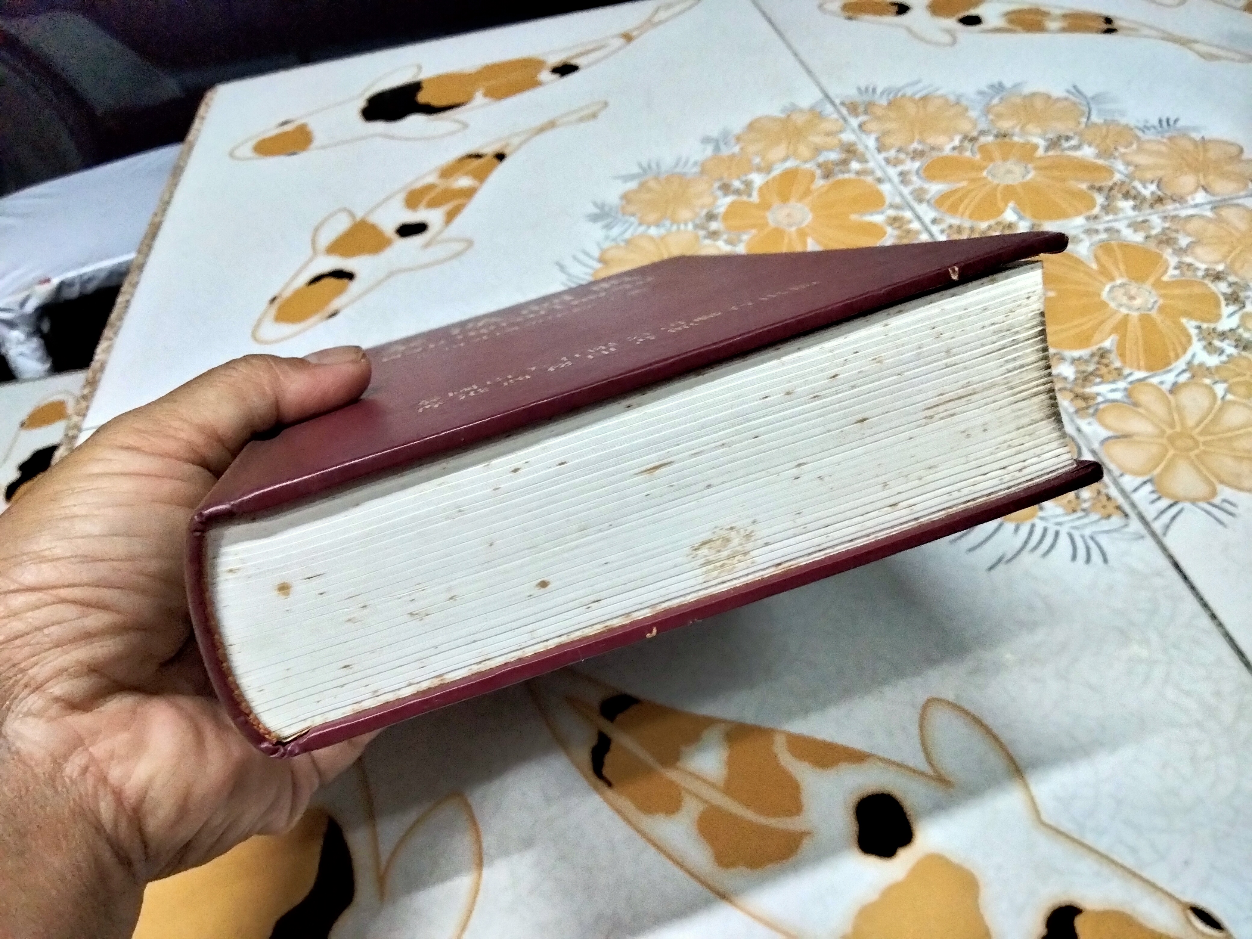 พจนานุกรม ไทย-จีน (ปกแข็ง)