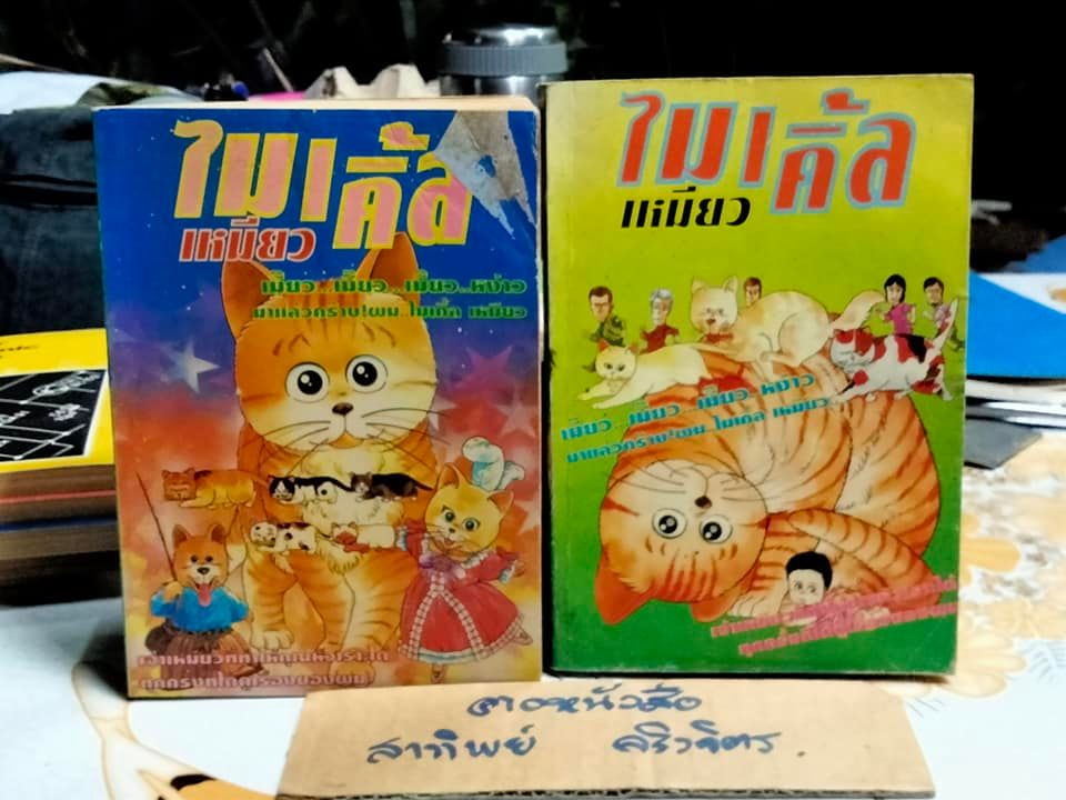 ไมเคิ้ลเหมียว (2 เล่มจบ) **สินค้าหมด**