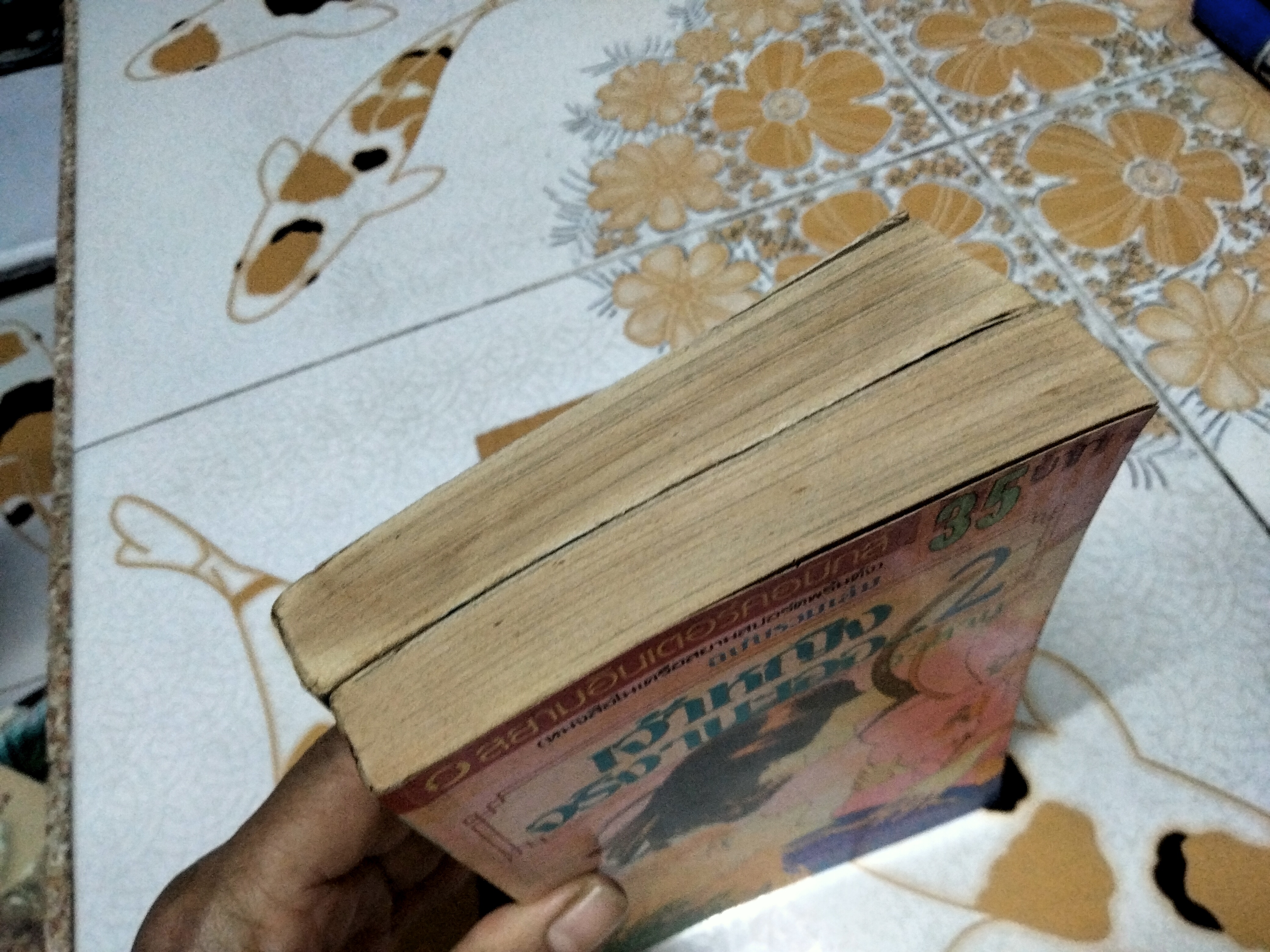 เจ้าหญิงจริงๆ นะเออ (2 เล่มจบ) ผลงานของ HONDA KEIKO สยามอินเตอร์คอมิกส์ **สินค้าหมด**