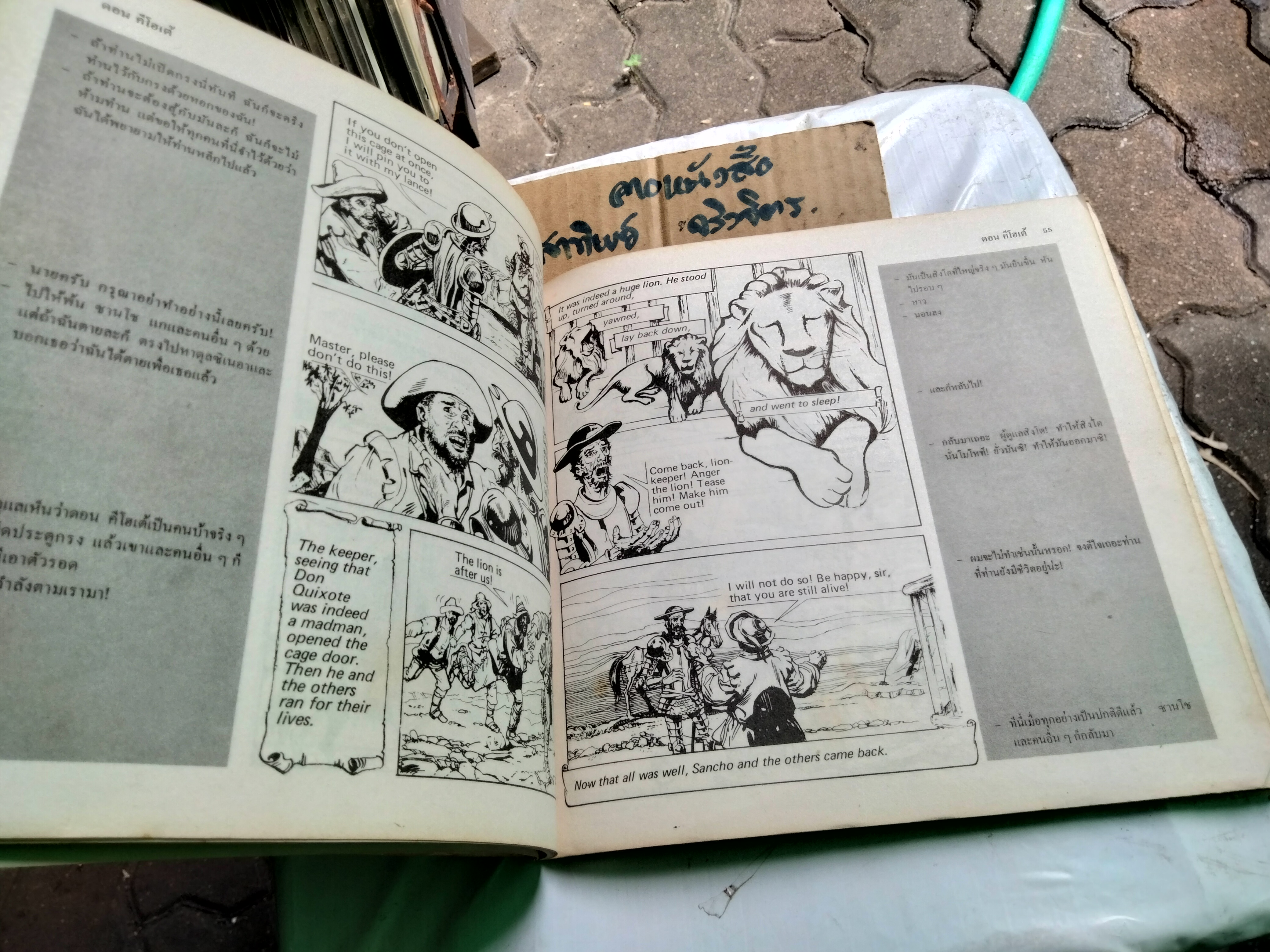 ดอน คีโฮเต้ - Don Quixote หนังสือภาพเพื่อการศึกษา วรรณกรรมและภาษาอังกฤษ **สินค้าหมด**