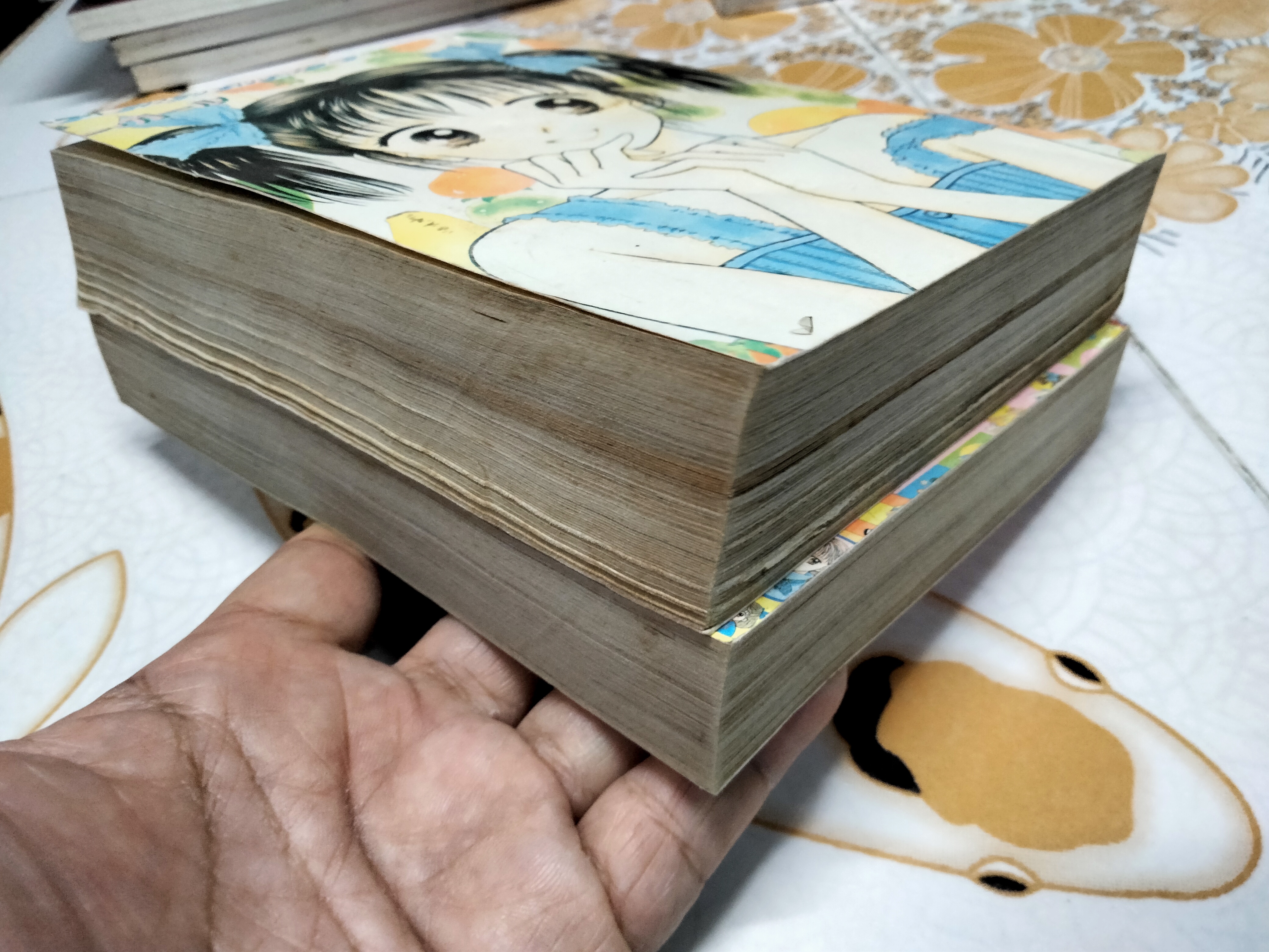 มาร์มาเลด สุดที่รัก 2 เล่มจบ / Yoshizumi Wataru **สินค้าหมด**