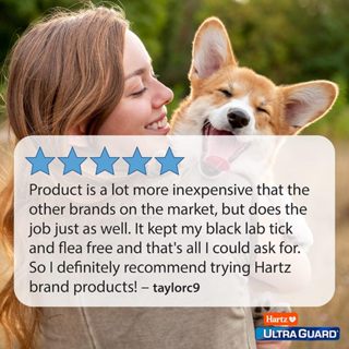 Hartz® UltraGuard Dual Action Flea & Tick Topical for Small Dogs 3 Tubes กำจัดเห็บหมัด สำหรับสุนัข