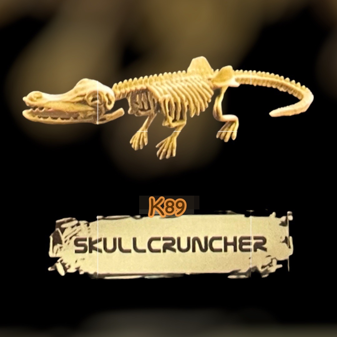 ชุดขุดฟอสซิลไดโนเสาร์