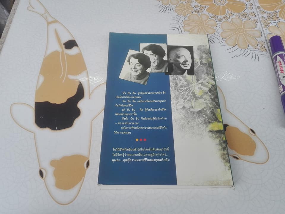 เซนสู้ชีวิต Diary Of A Zen Nun นัน ชิน (แนนซี แอมฟอกซ์) รจนา , ปริญญ์ ปราชญานุพร พากย์ไทย **สินค้าหมด**