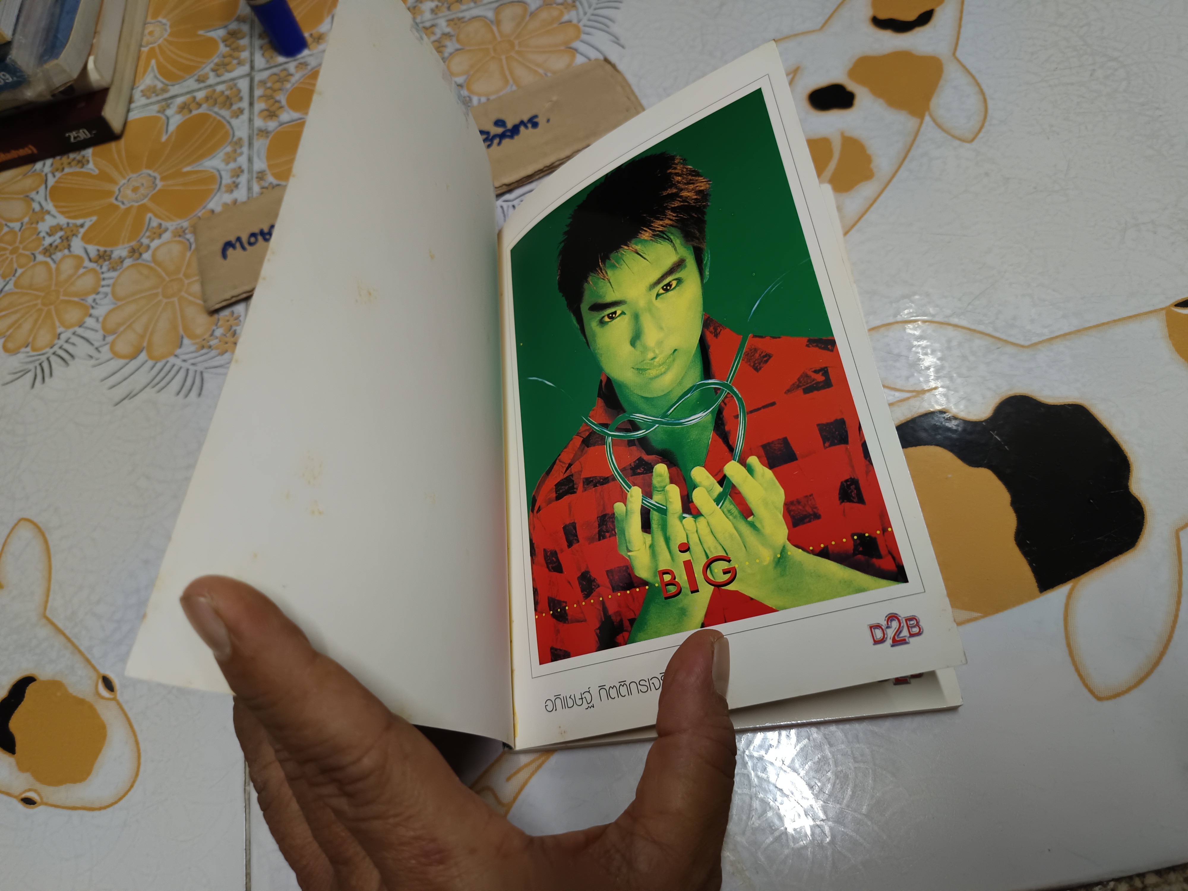 Album 16 postcards D2B