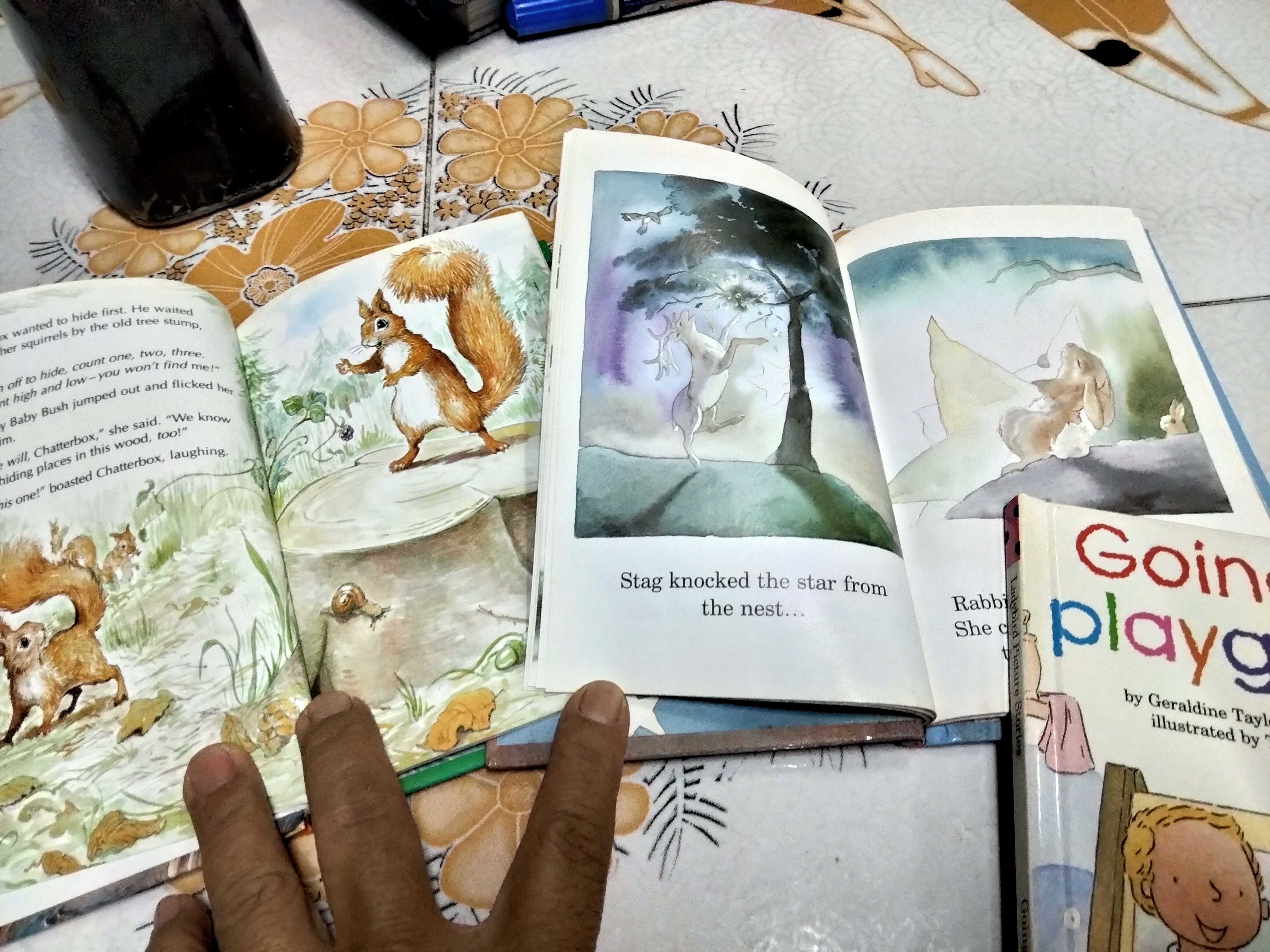 หนังสือชุด " Ladybird's Picture Stories series" ขายรวม 4 เล่ม