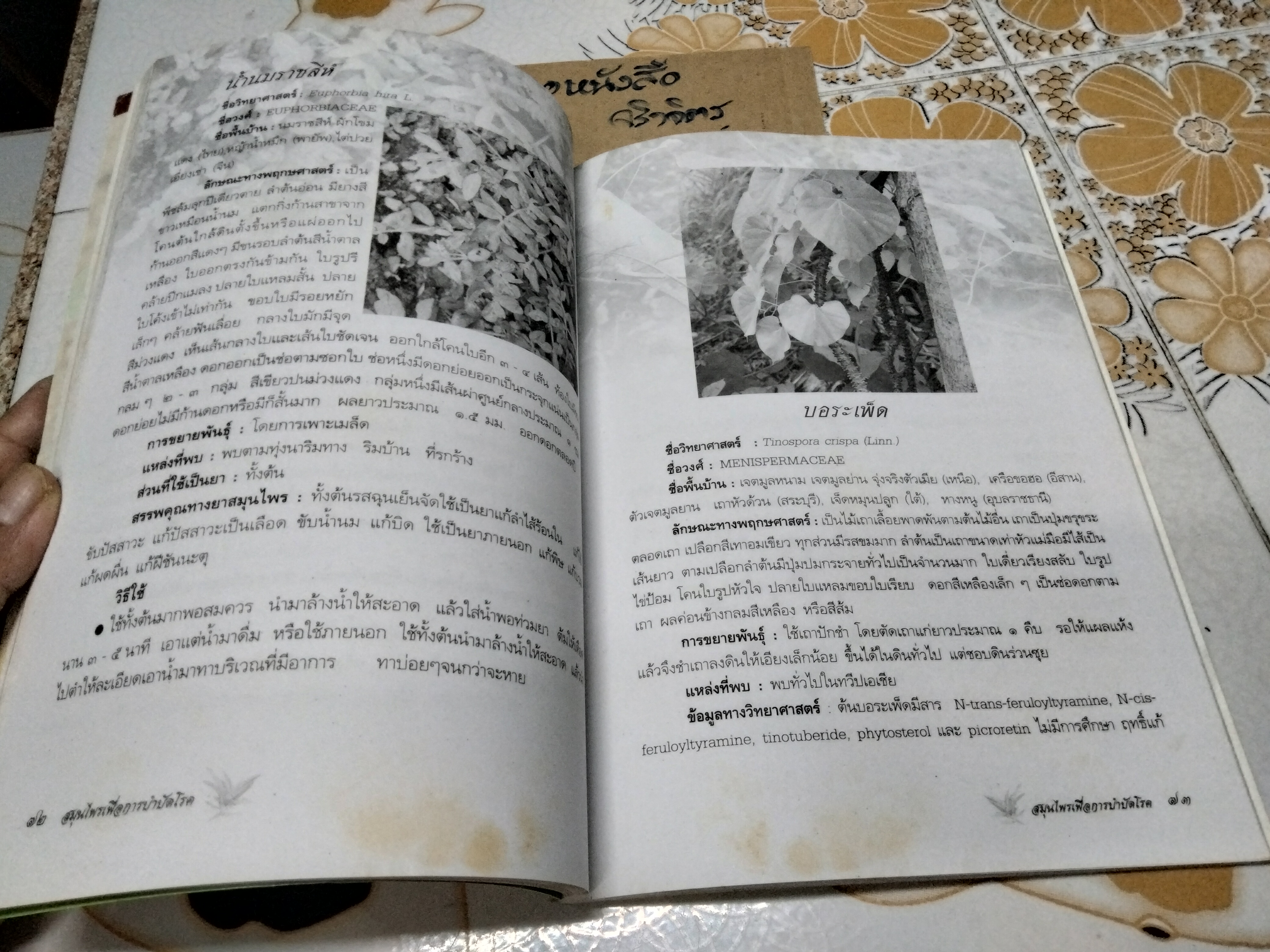 สมุนไพรเพื่อการบำบัดโรค - เรียบเรียงโดย แก้ว กาญจนา **สินค้าหมด*"