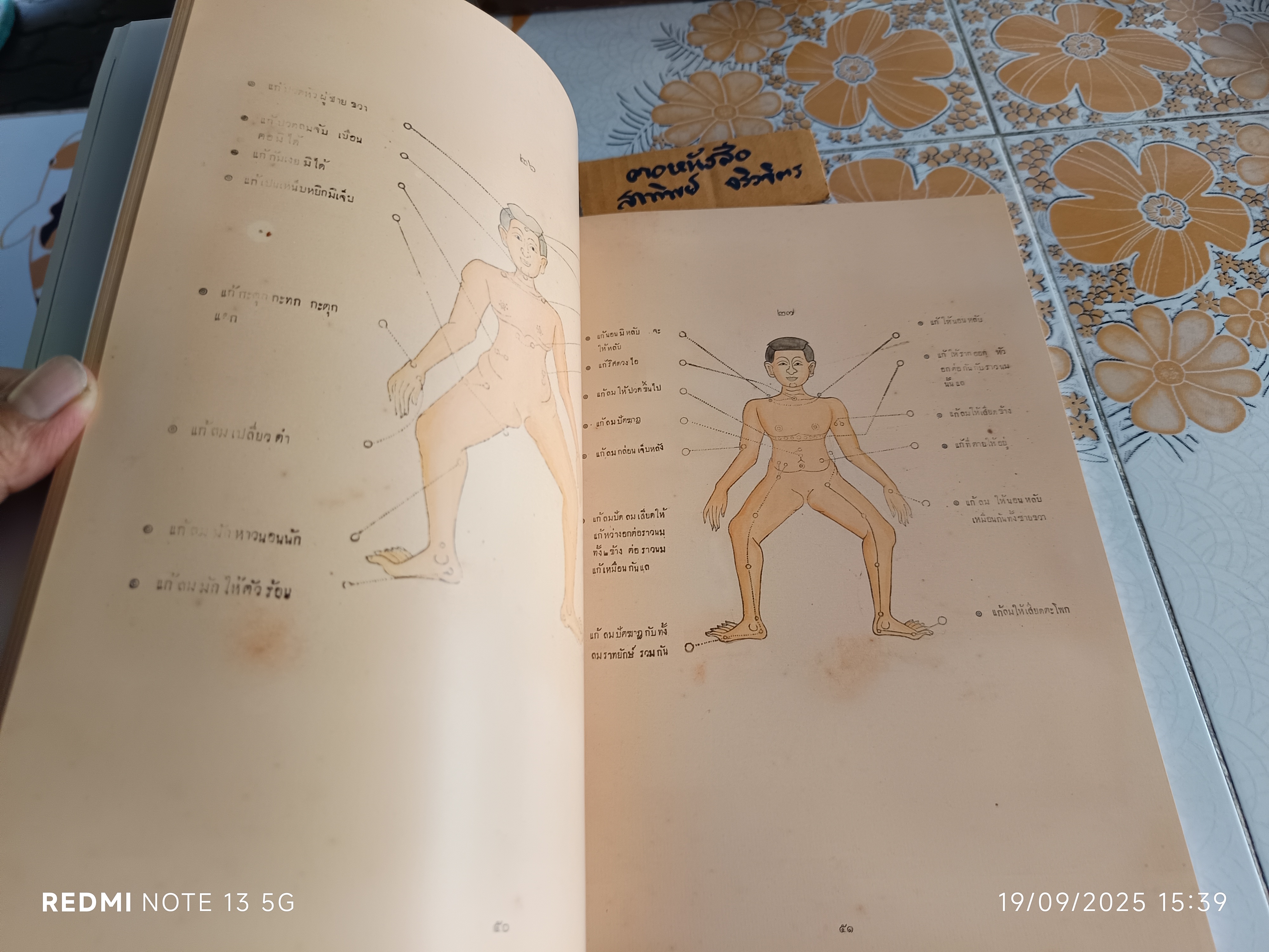 แผนตำราหมอนวดและฤๅษีดัดตน โดย พระยาพิศณุประสาตร์เวช (คง ถาวรเวช)