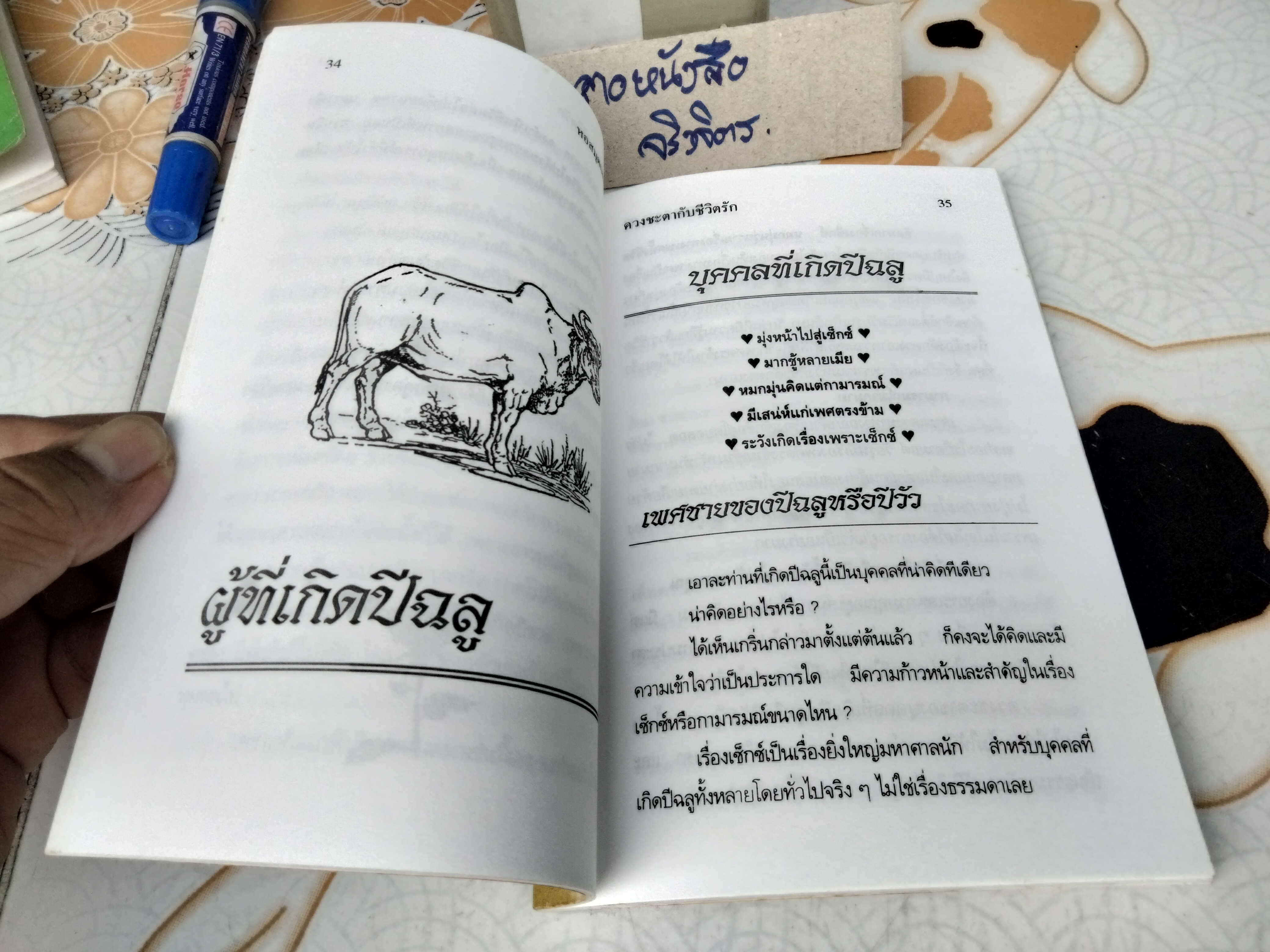 ดวงชะตากับชีวิตรัก 12 นักษัตร โดย ภาสนญาณ