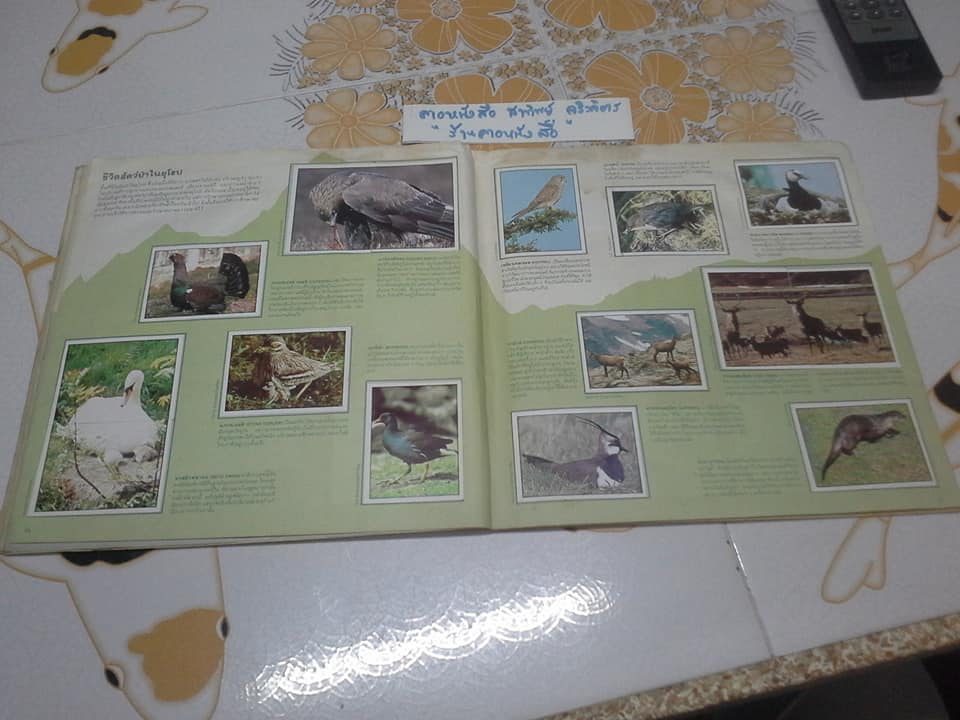 สมุดสะสมสติกเกอร์ ชีวิตสัตว์โลก - แปะครบ (ตัวเล่มมีคราบน้ำ มุมบนมีรอยยับ) **สินค้าหมด**