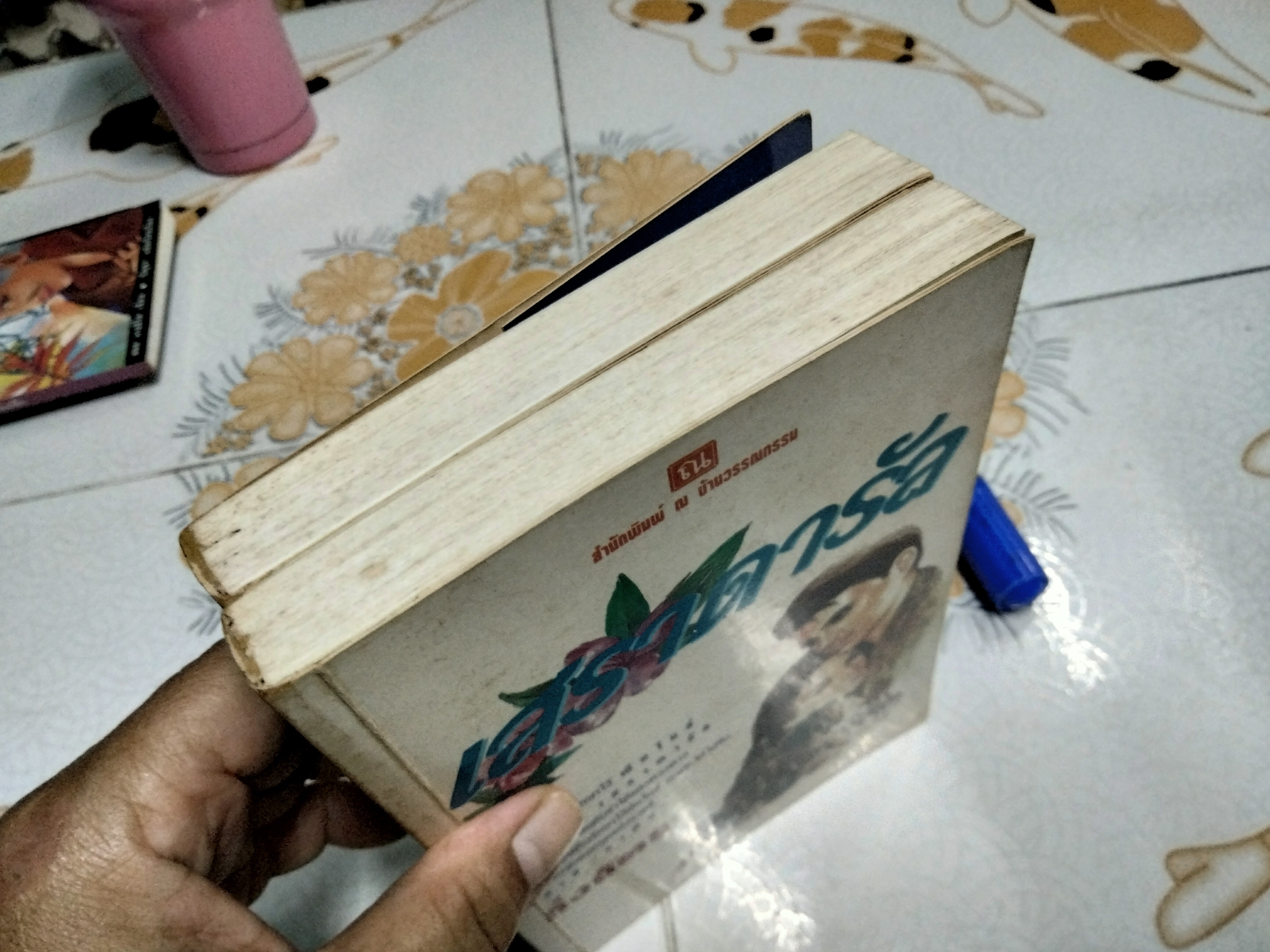 เสราดารัล (2 เล่มชุด) โดย กิ่งฉัตร พิมพ์รวมเล่มครั้งที่ 2/2537