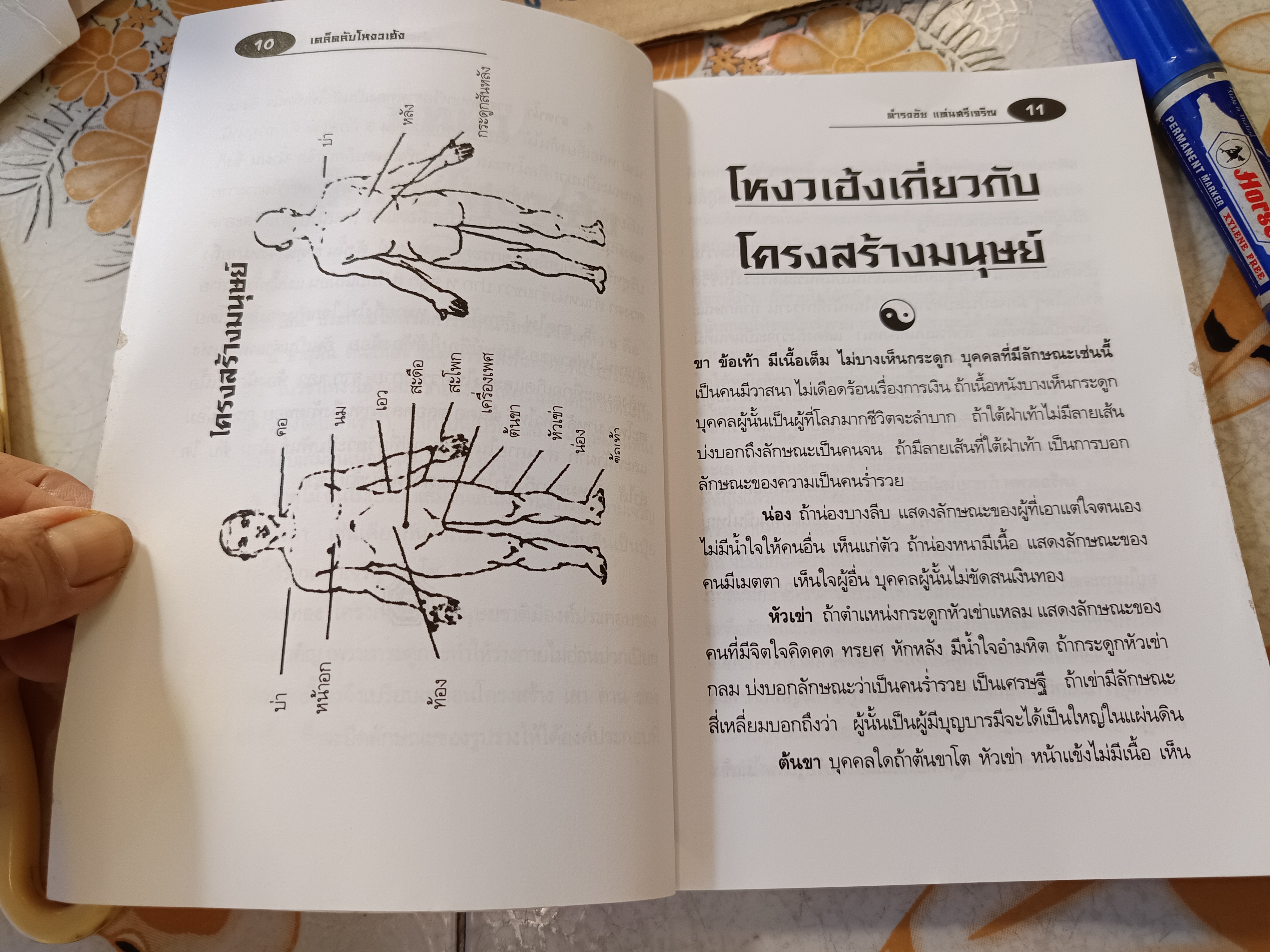 เคล็ดลับโหงวเฮ้ง โดย ดำรงชัย แท่นศรีเจริญ แก้ดวงชะตาโดยไม่ต้องเสียเงิน (มีรอยเปื้อนดิน)