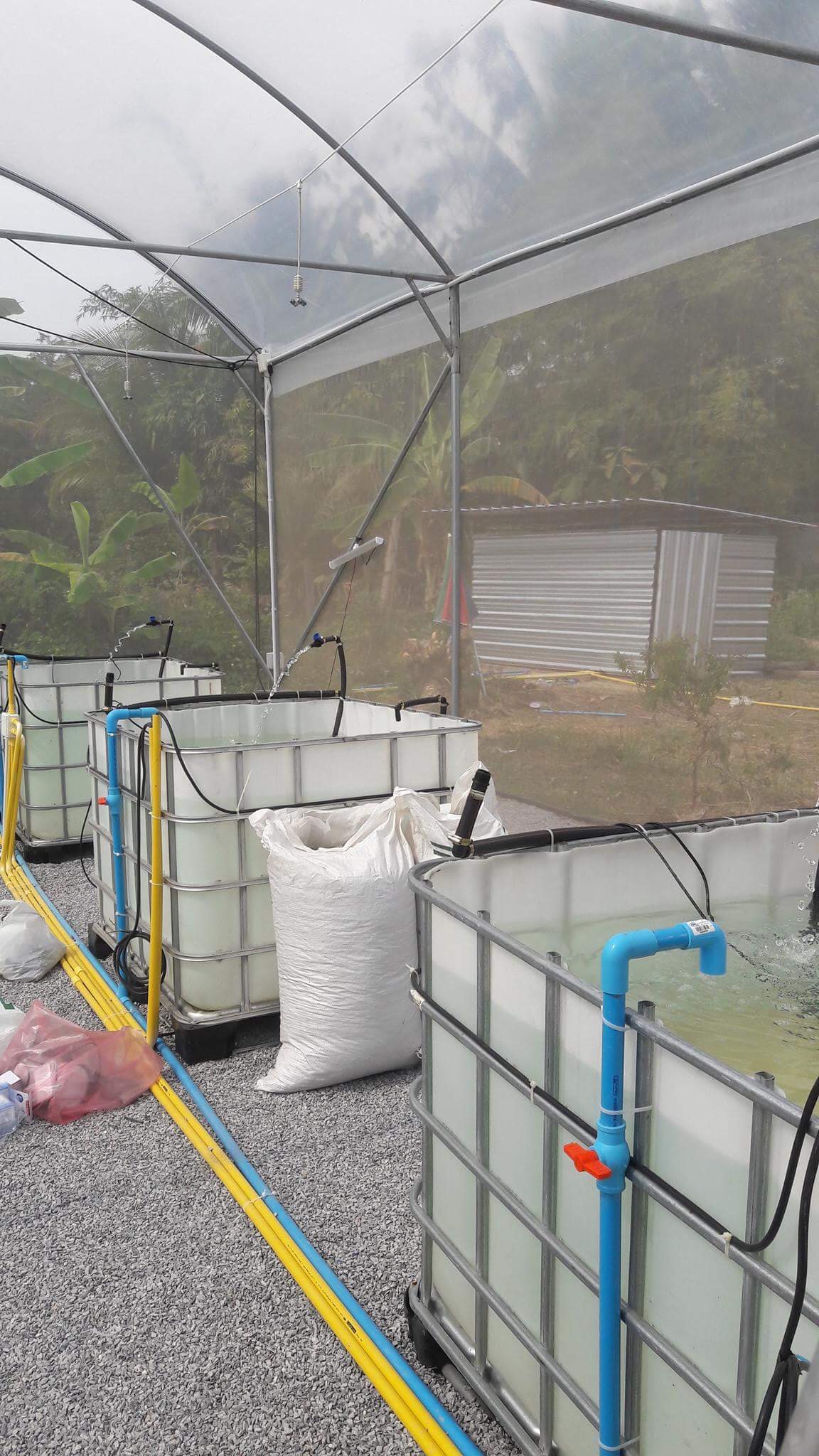 รับวางระบบอะควาโปรนิกส์