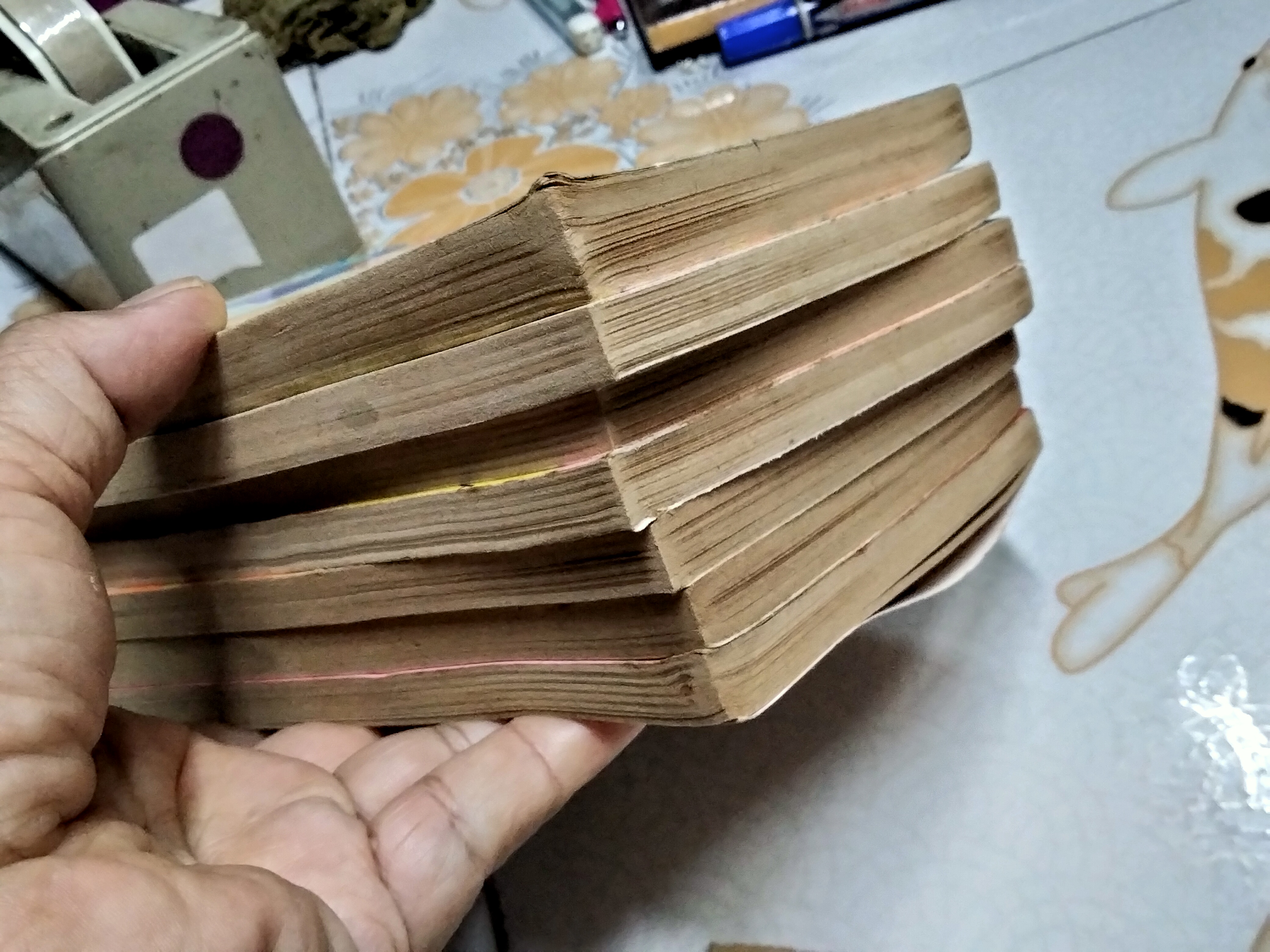 ในอ้อมแขนแห่งรัก (7 เล่มจบ) Matsunae Akemi สำนักพิมพ์ สยามอินเตอร์คอมิกส์