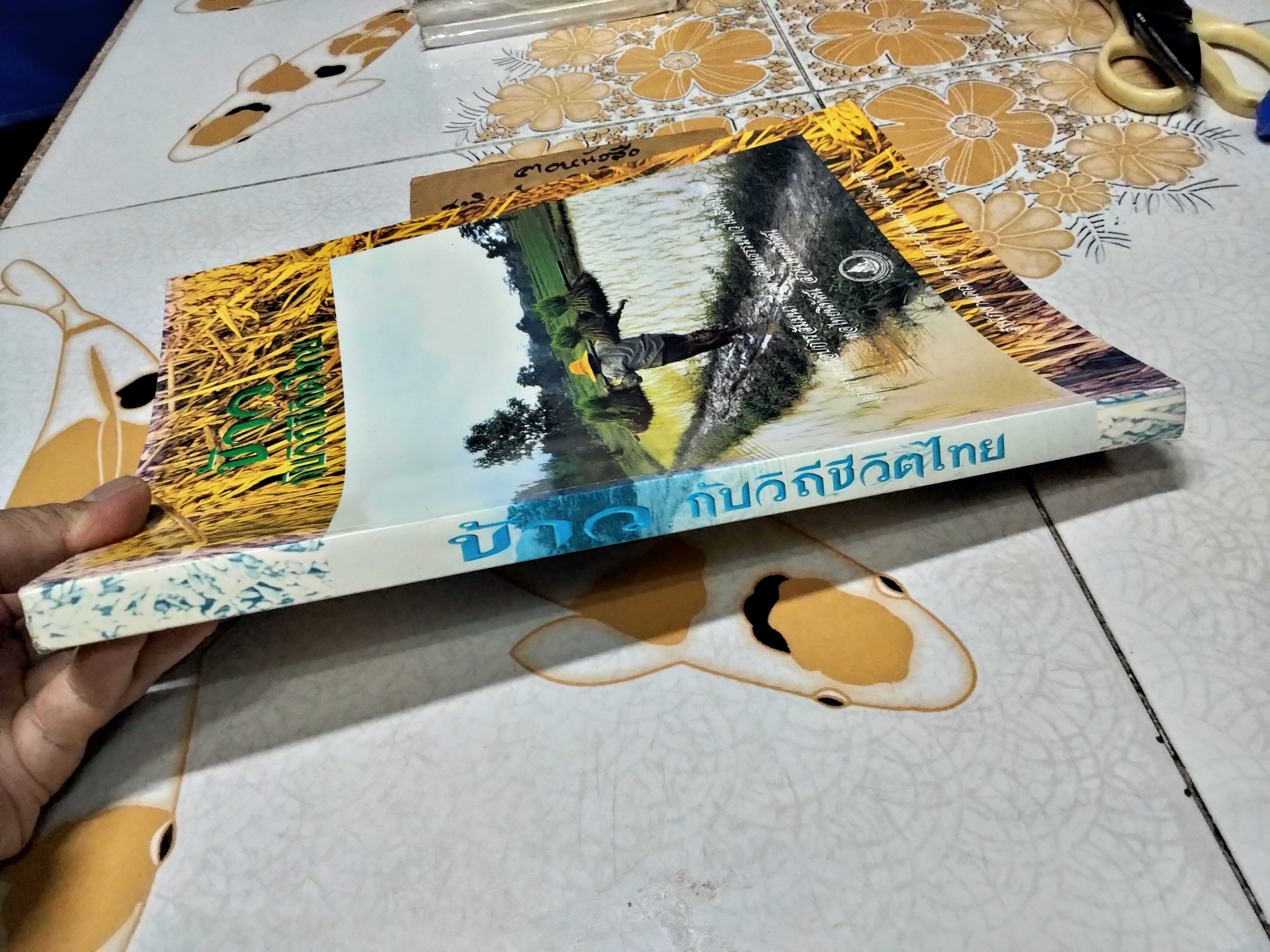 ข้าวกับวิถีชีวิตไทย - เอกสารประกอบการสัมมนาเรื่อง วัฒนธรรมข้าวในสังคมไทย