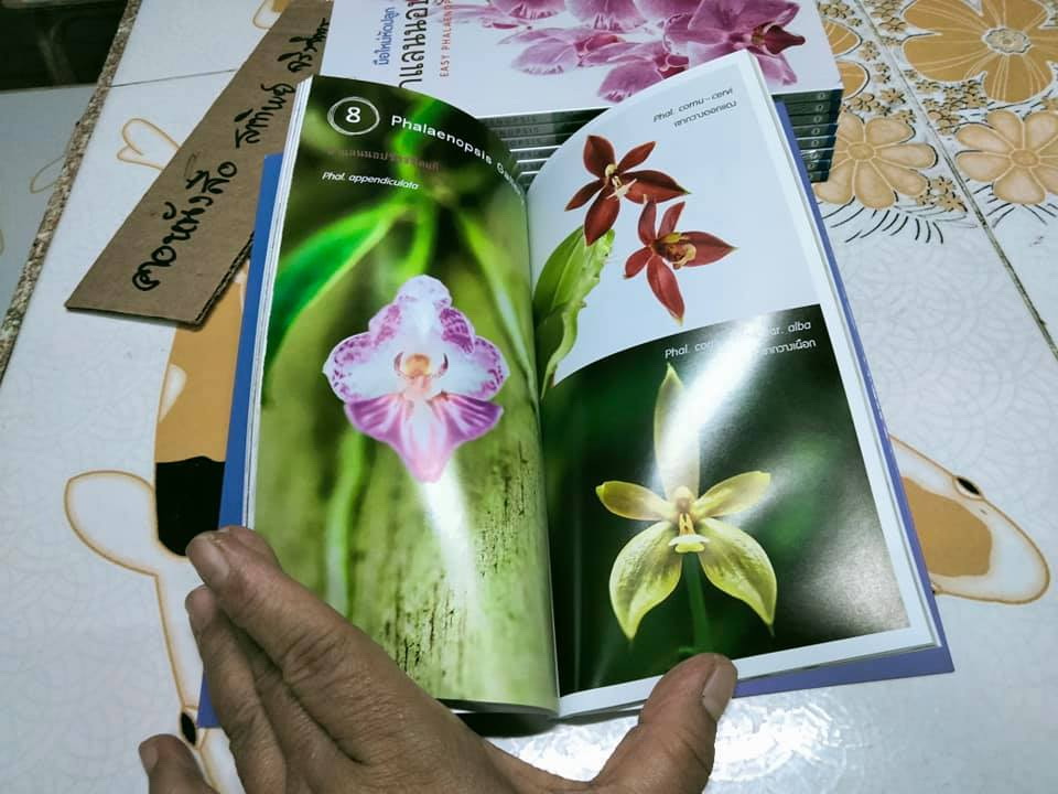 มือใหม่หัดปลูกฟาแลนนอปซิส (Easy Phalaenopsis) โดย ภวพล ศุภนันทนานนท์ , มือหนึ่ง ในซีล