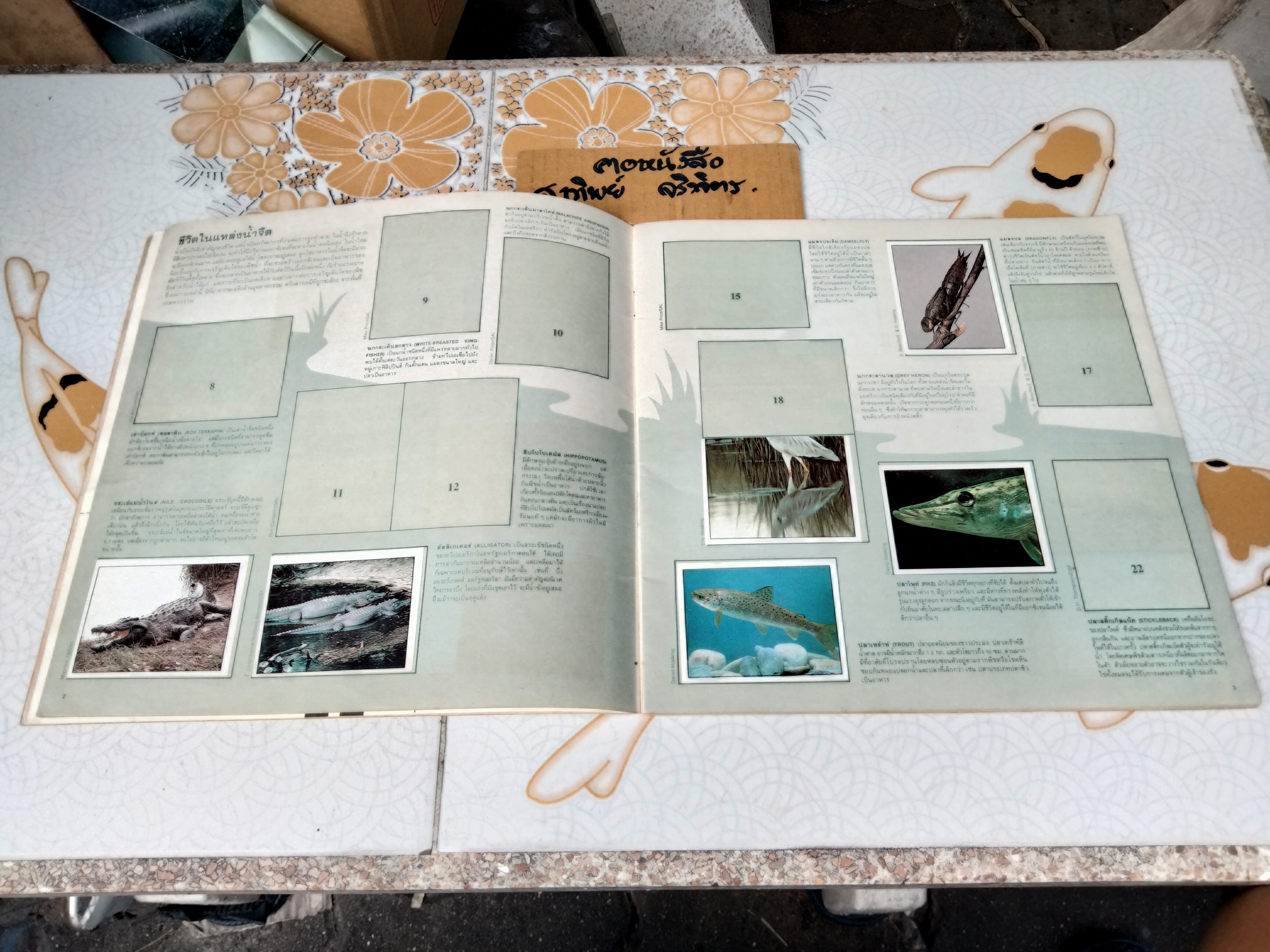 สมุดสะสมสติกเกอร์ ชีวิตสัตว์โลก (แปะไป 66 รูป/ 240 รูป)