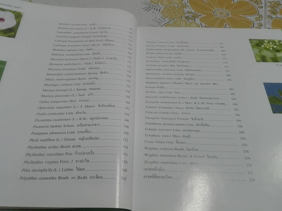 พืชสมุนไพรในประเทศไทย ตอนที่ 1 (ปกแข็ง-มีใบหุ้มปก) **สินค้าหมด**