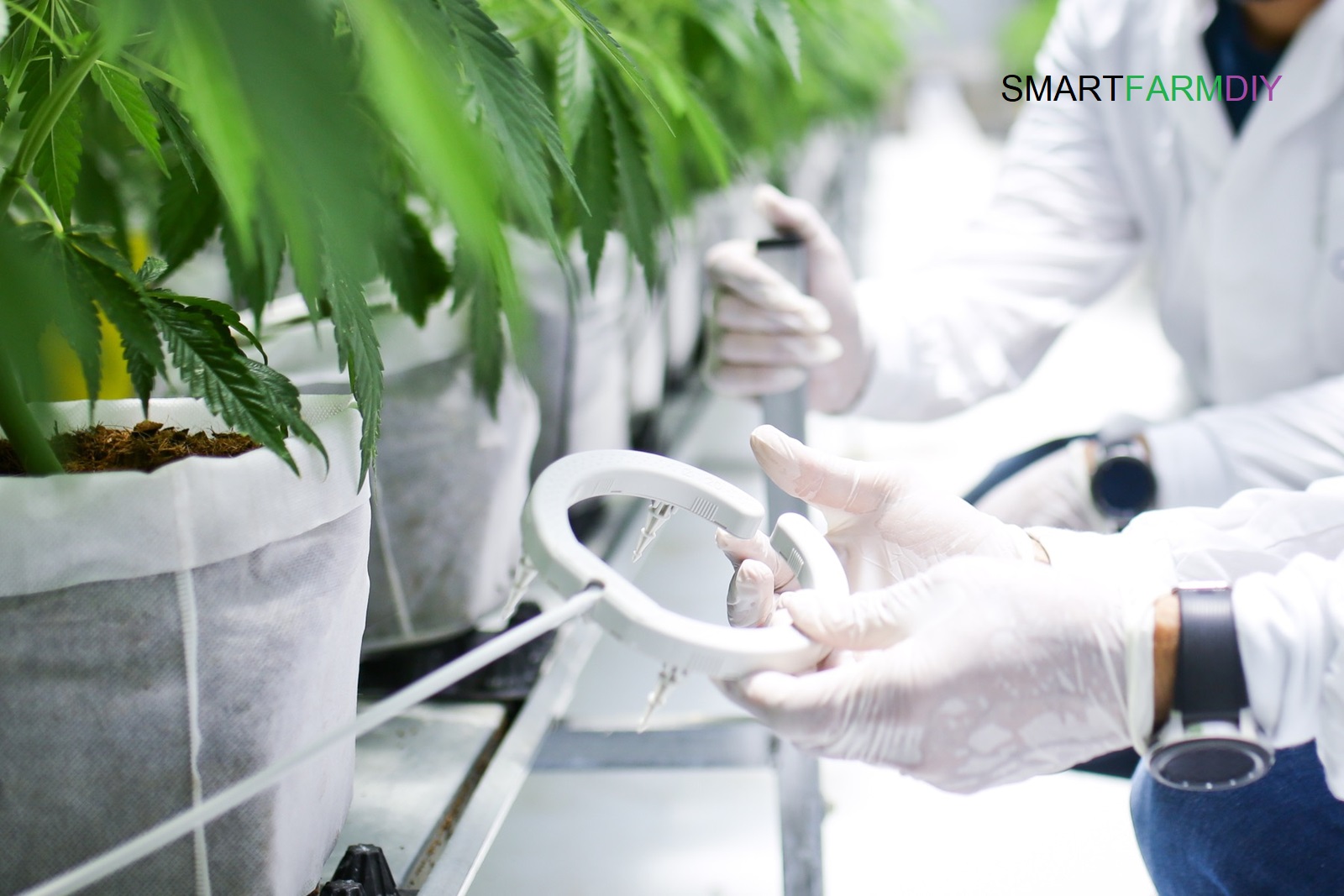 Netbow รุ่น 5 นิ้ว/ 10 นิ้ว