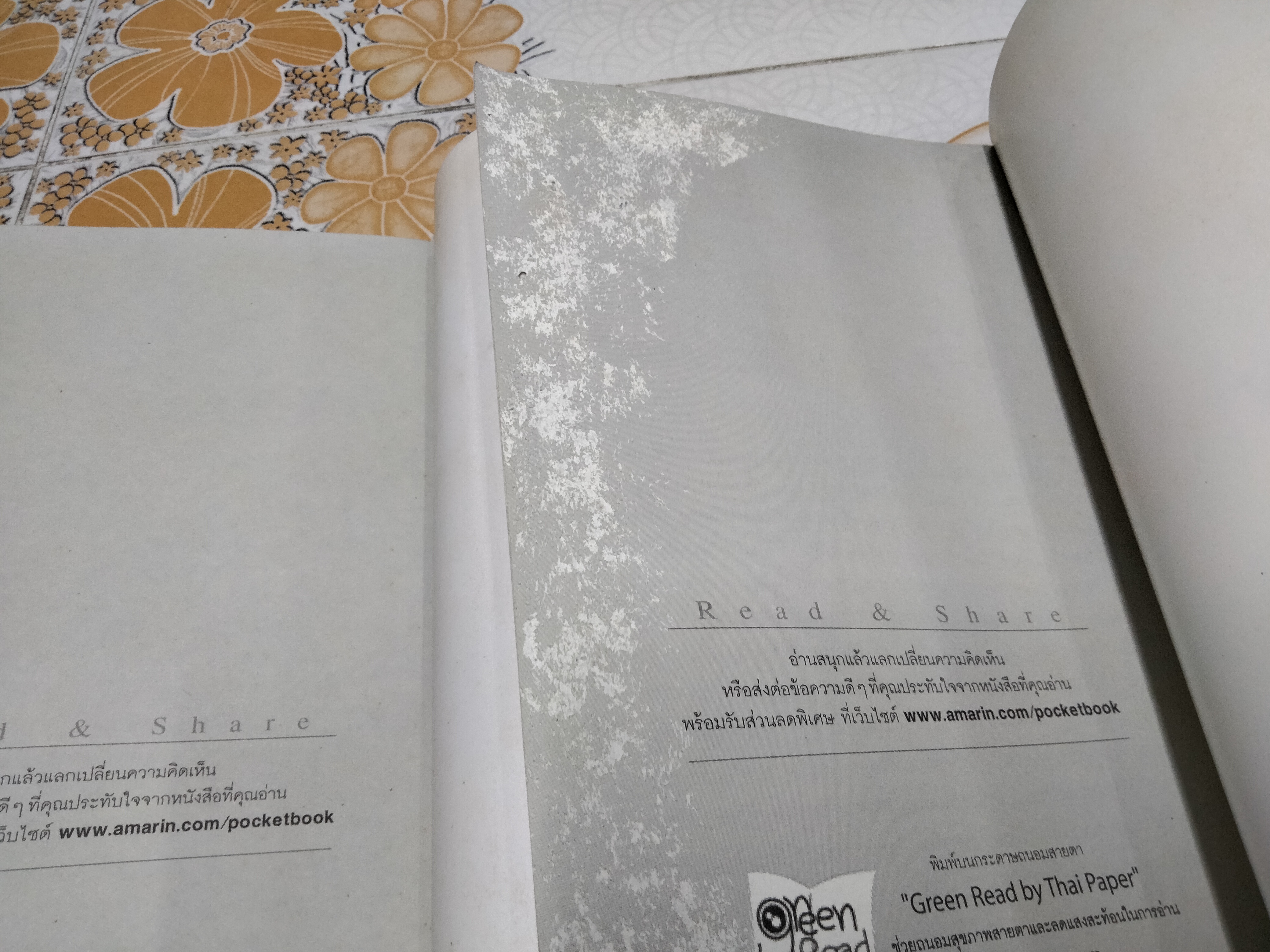 วรรณกรรมเยาวชน เซรีญา (3 เล่มจบ-พิมพ์แรก พ.ศ.2548) โดย พัณณิดา ภูมิวัฒน์