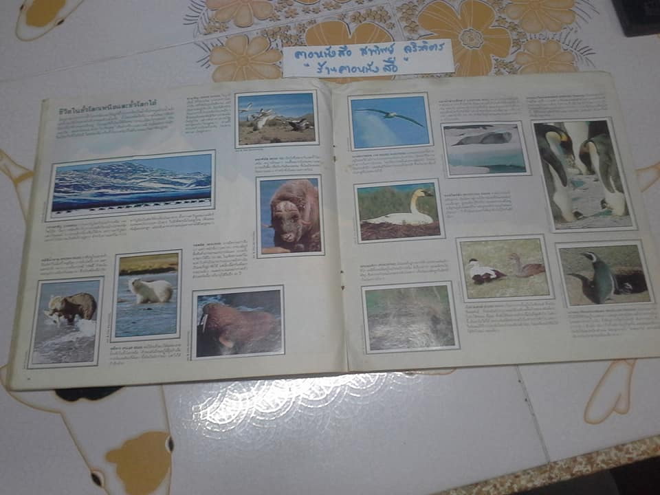 สมุดสะสมสติกเกอร์ ชีวิตสัตว์โลก - แปะครบ (ตัวเล่มมีคราบน้ำ มุมบนมีรอยยับ) **สินค้าหมด**