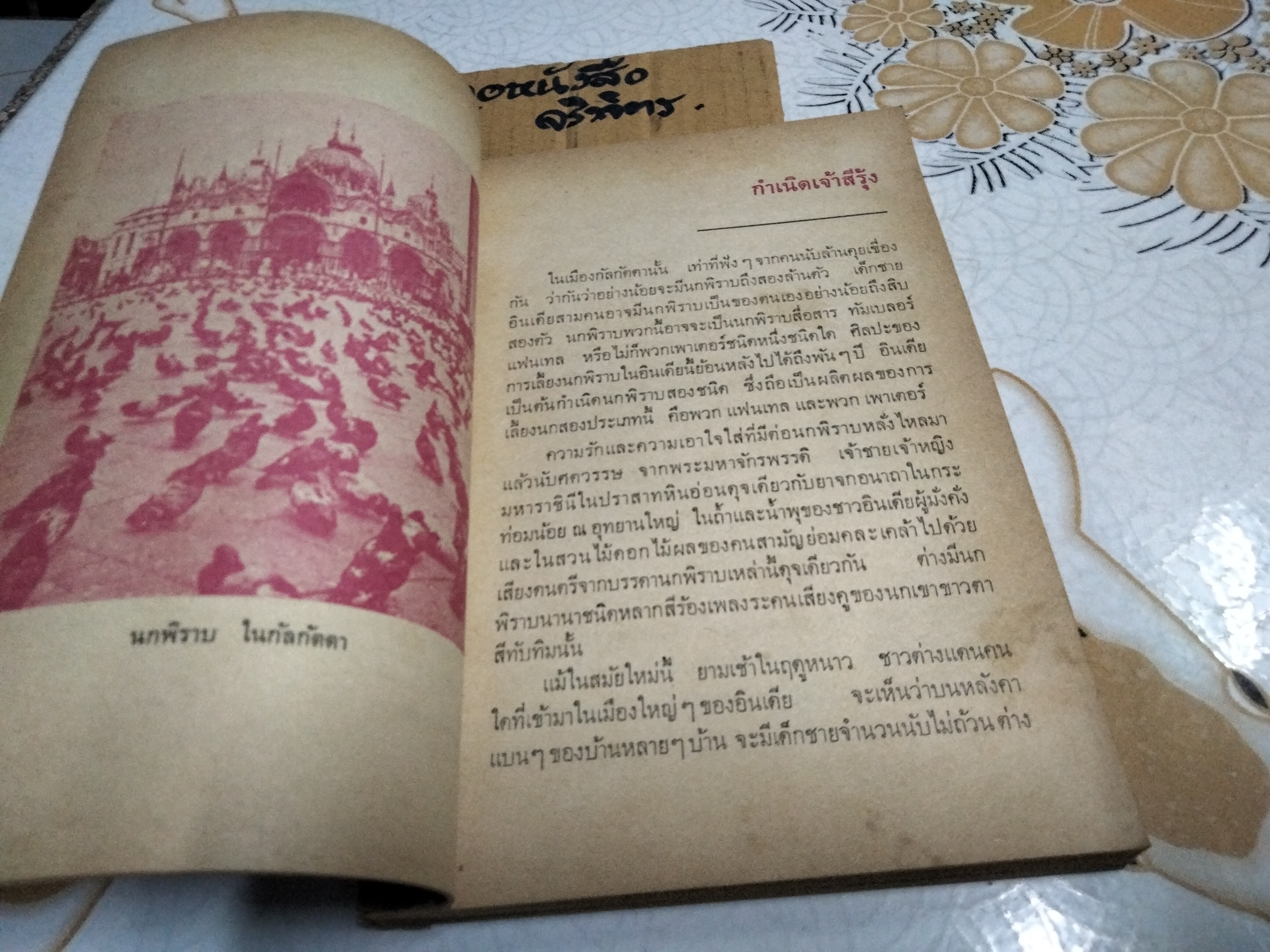 เจ้าสีรุ้ง (พิมพ์ครั้งแรก พ.ศ.2514) หนังสืออ่านสำหรับเยาวชน ตามโครงการหนังสือเด็กของ กองบรรณาธิการชัยพฤกษ์ ชุด 5 อันดับ 4 ***สินค้าหมด**