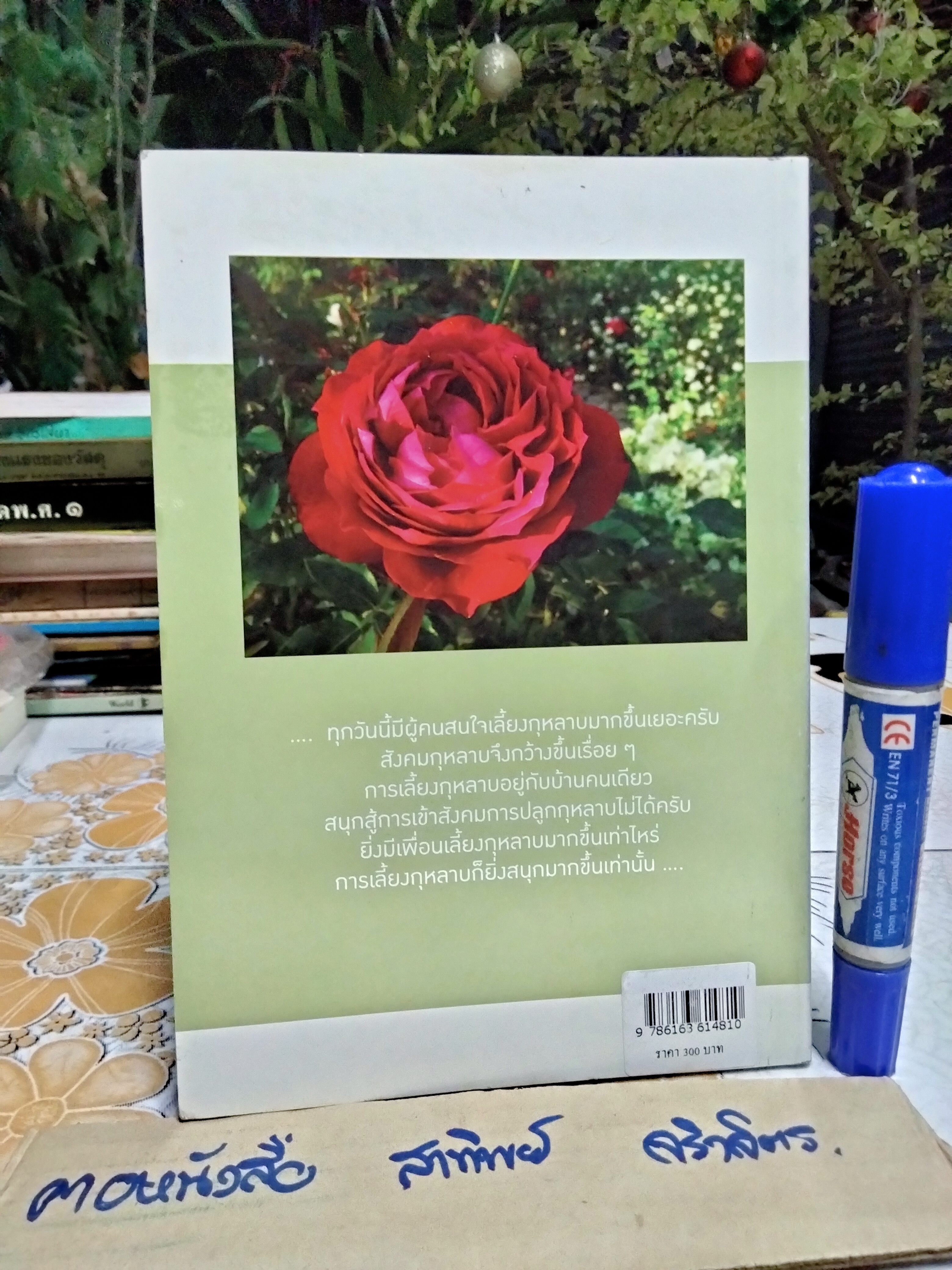 เรื่องเล่า จากคนรักกุหลาบ ANOTHER ROSE STORY By mynamemathew (เล่มละ) **สินค้าหมด**