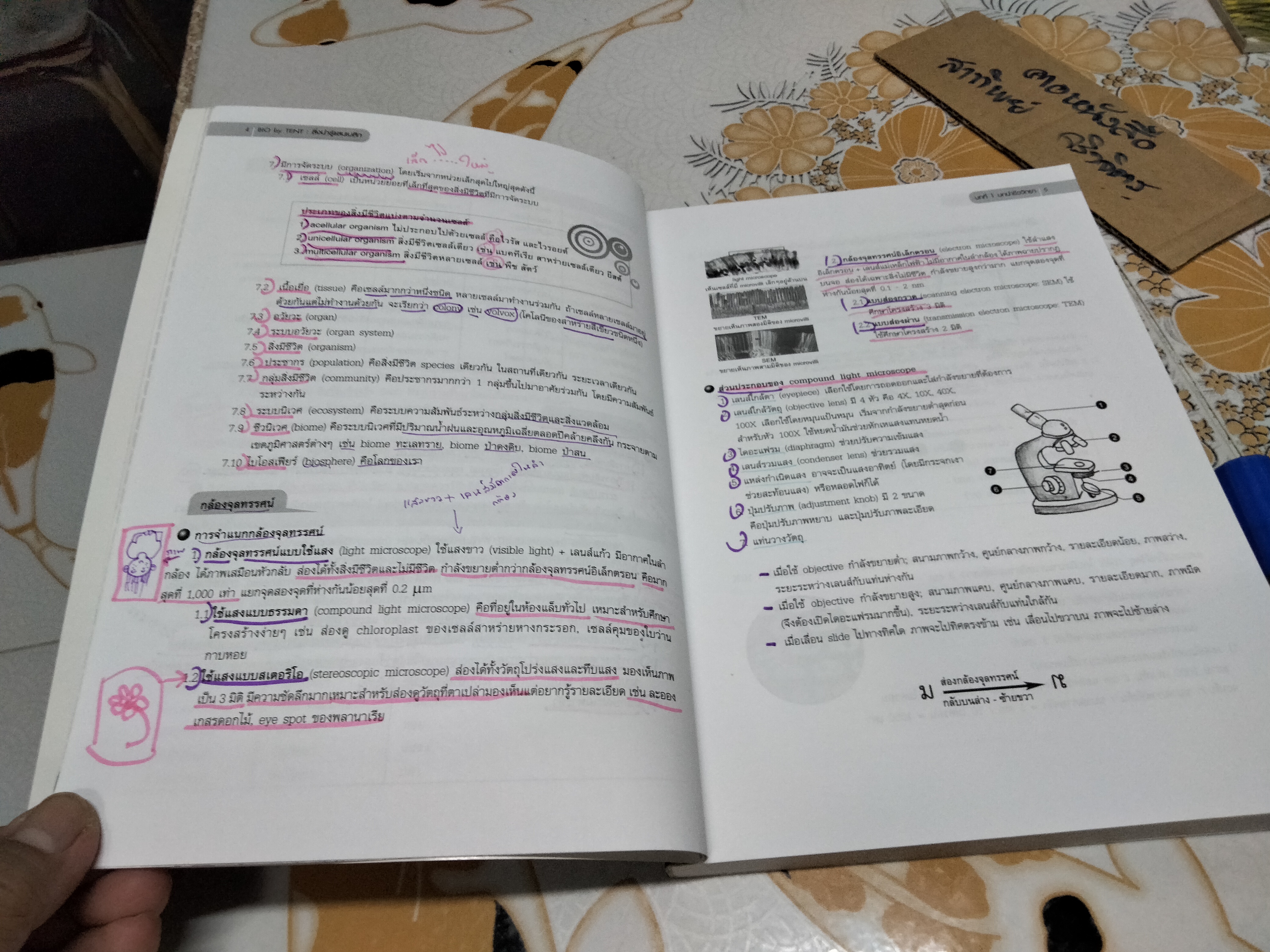 หนังสือชีววิทยา ปกเต่าทอง - จิรัสย์ เจนพาณิชย์ พิมพ์ครั้งที่ 14/2554 **สินค้าหมด**