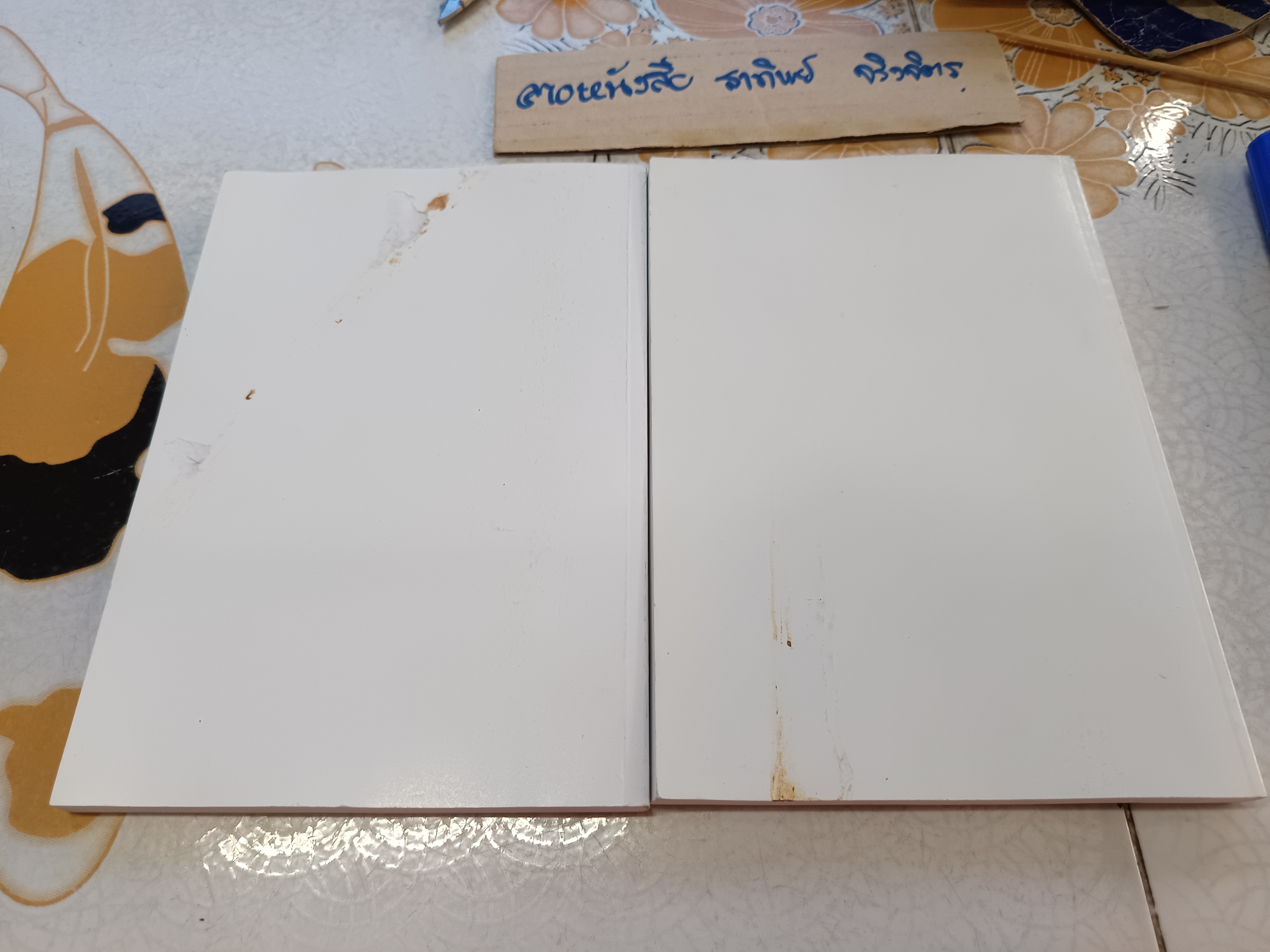 หนังสือราชินีในห้องมืด เล่ม 1-2 จบ โดย ช่าย ซู เจียน พระคริสต์..