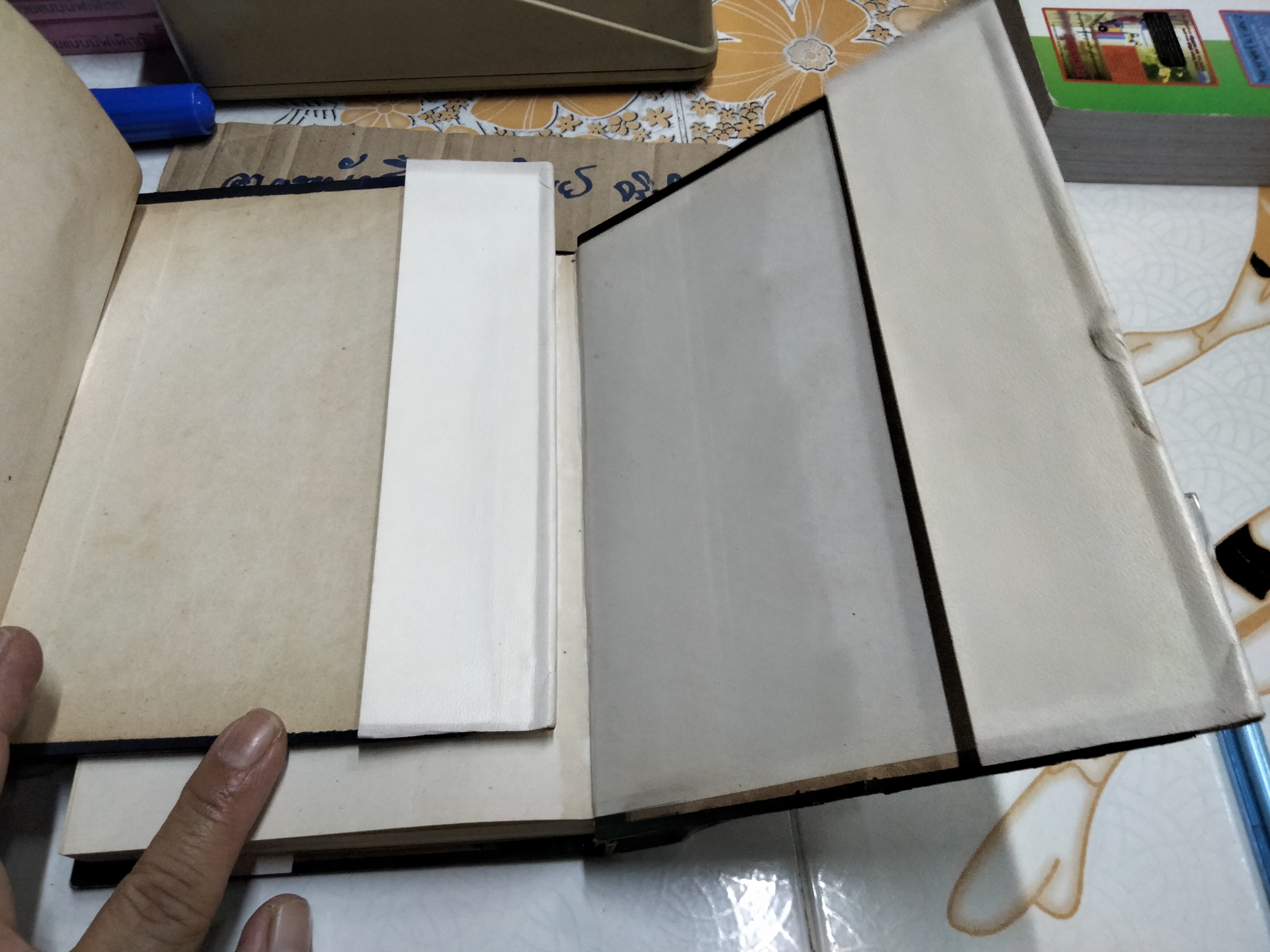 แผ่นดินนี้ยังรื่นรมย์ (2 เล่มจบ) - สีฟ้า **สินค้าหมด**