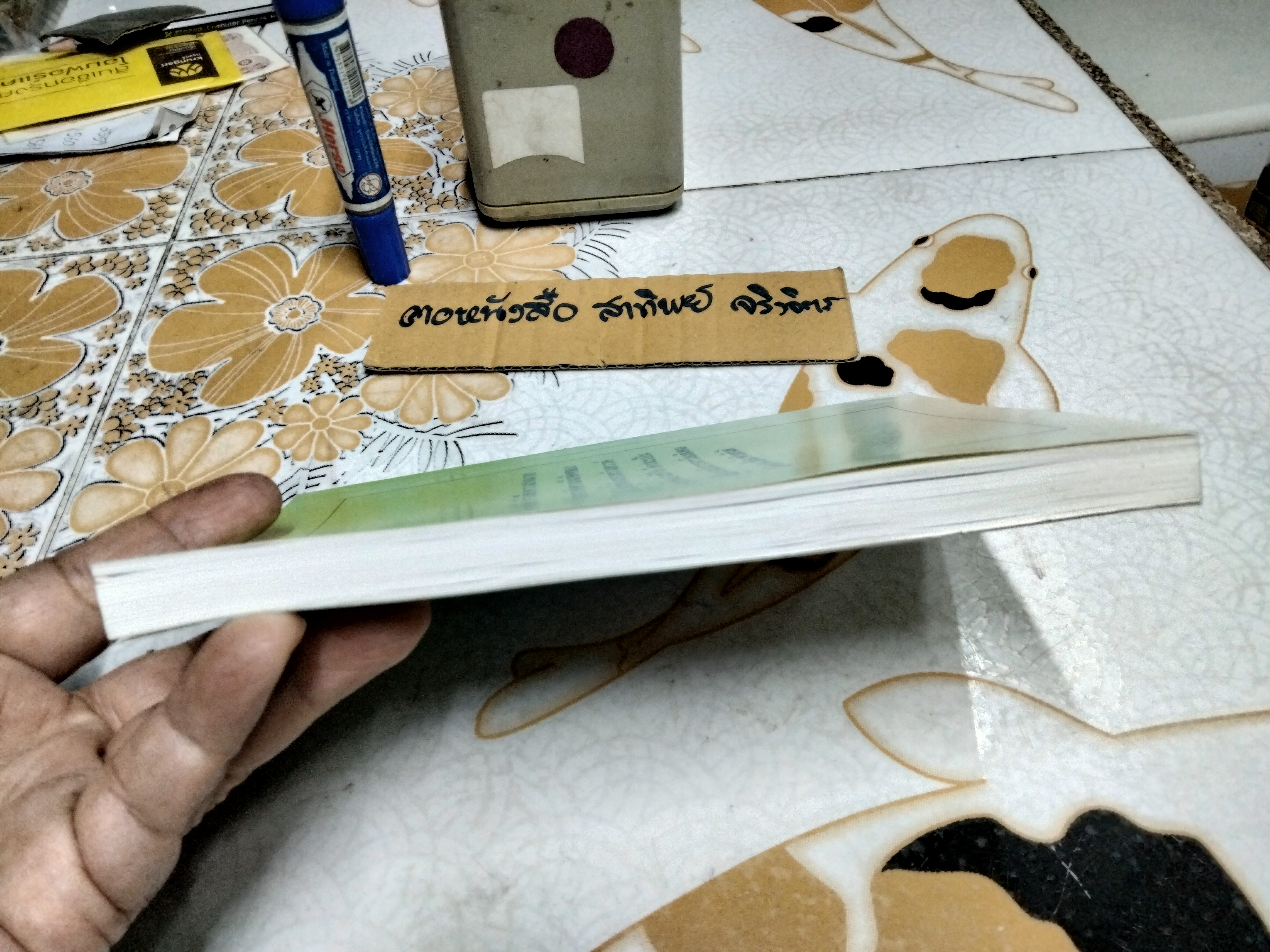 คำสารภาพของวิญญาณบาป โดยนายแพทย์อาจินต์ บุณยเกตุ **สินค้าหมด**