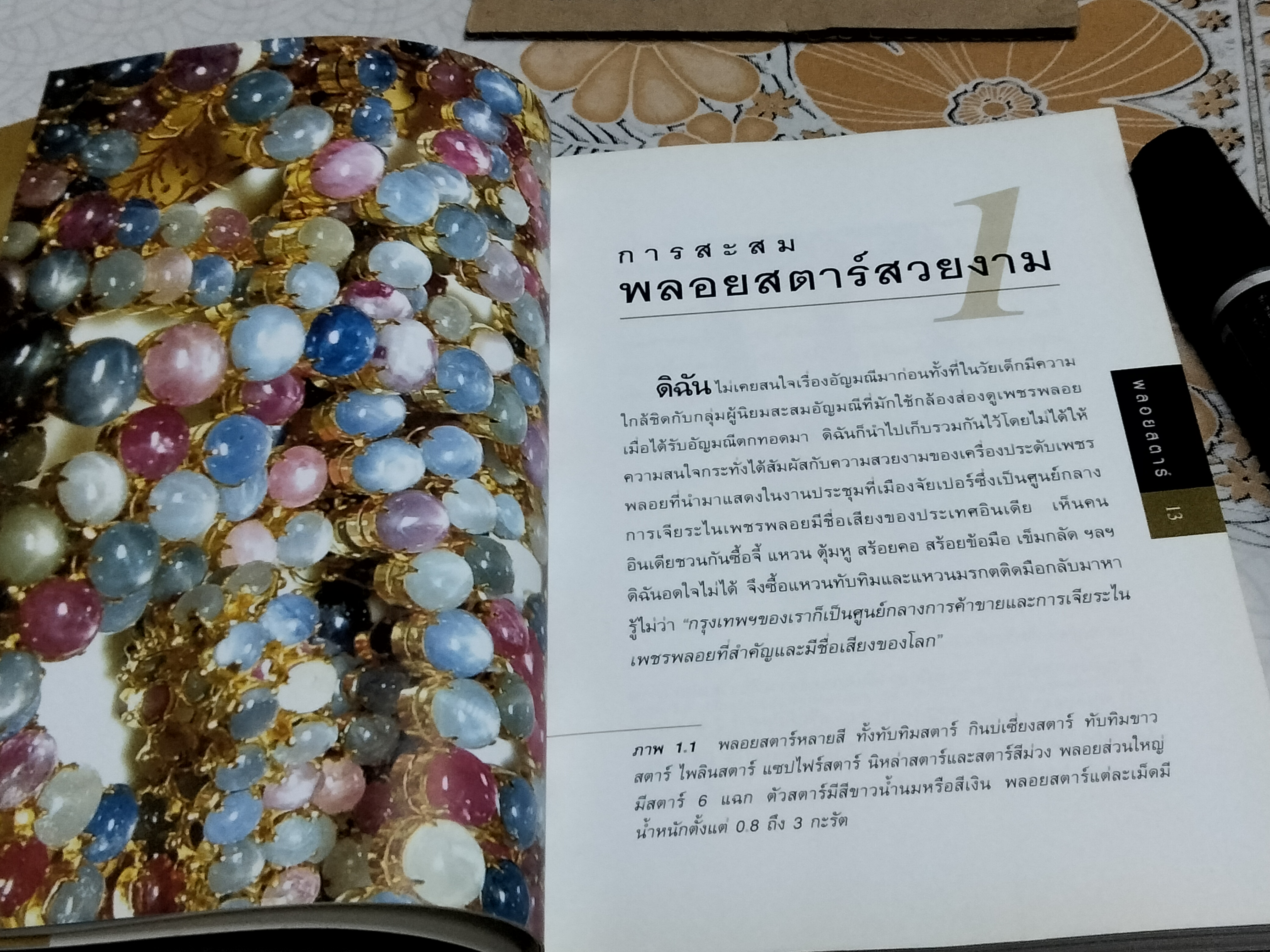 พลอยสตาร์ - พรทิพย์ โล่ห์เลขา