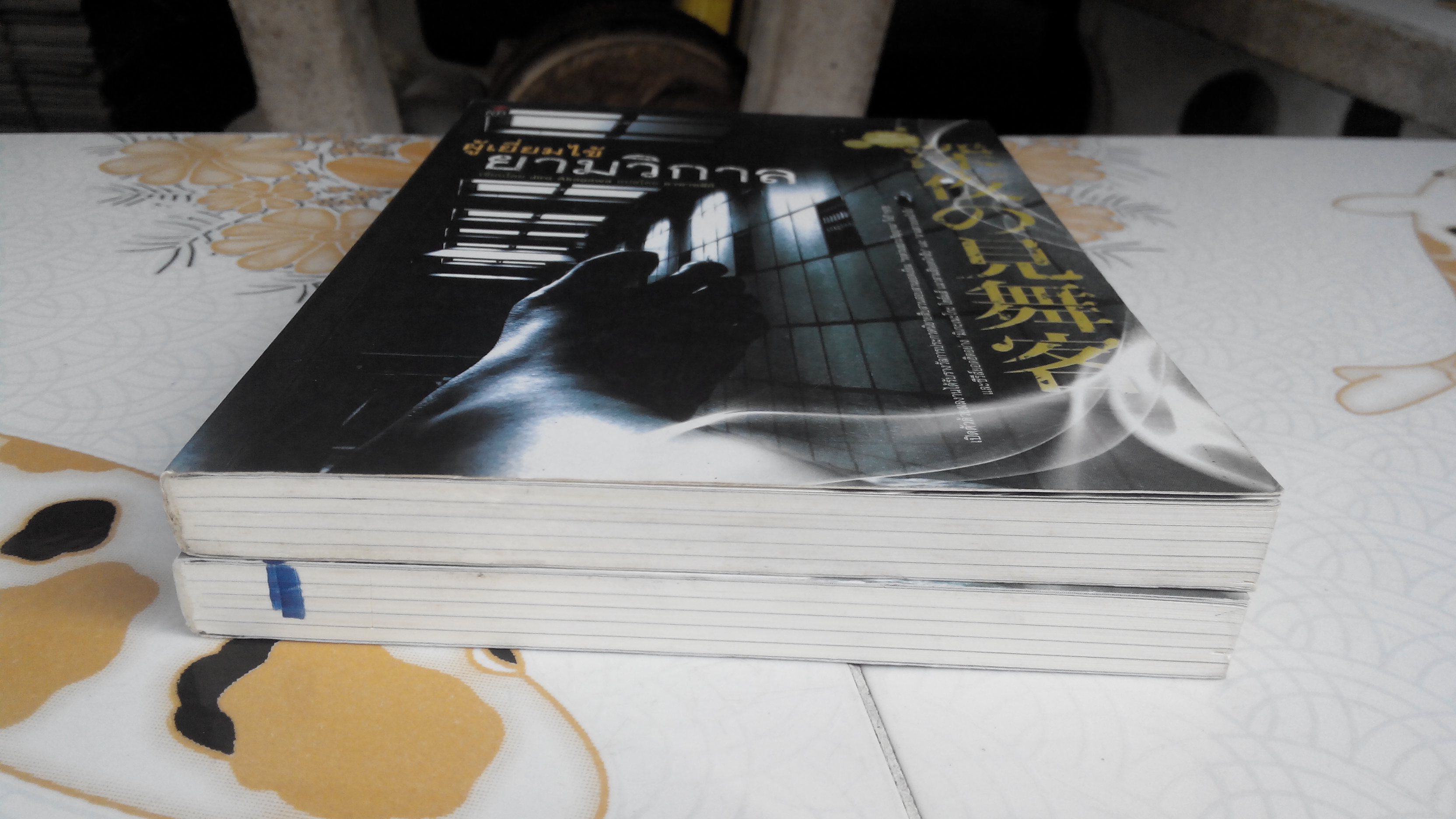 ผู้เยี่ยมไข้ยามวิกาล - Jiro Akagawa เขียน อาซาทสึกิ แปล **สินค้าหมด**