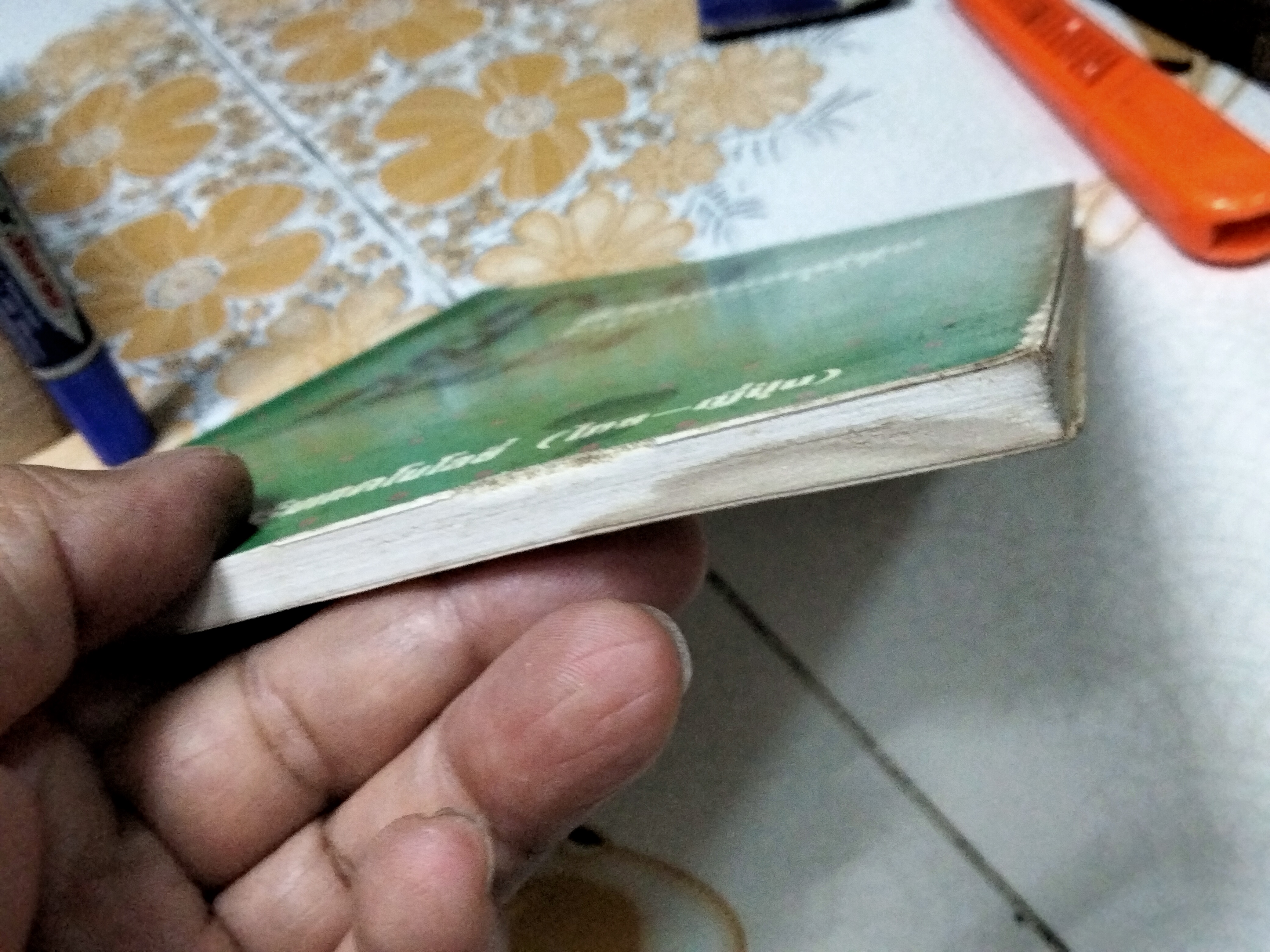 ประตูสู่ญี่ปุ่น - ชีวิตแบบญี่ปุ่น Japanese Life เขียนโดย Gen Itasaka แปลโดย ผศ.สุนันทา เหล่าจัน , สุภัฒ สงวนดีกุล