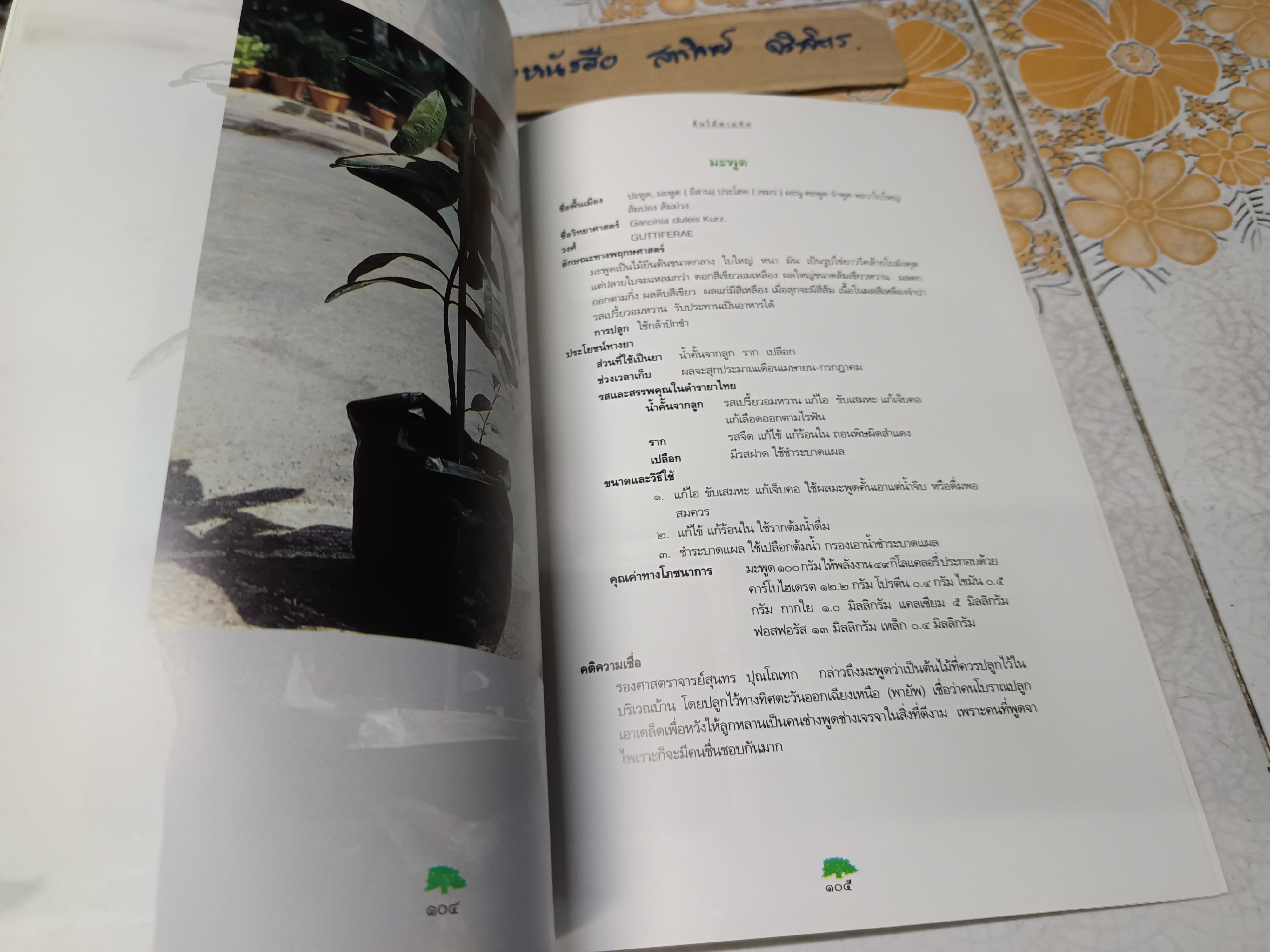 สมุนไพรกับวัฒนธรรมไทย ตอนที่ 1 : ต้นไม้ตามทิศ จัดพิมพ์โดย สถาบันการแพทย์แผนไทยกรมการแพทย์ พิมพ์ครั้งที่ 1/2540