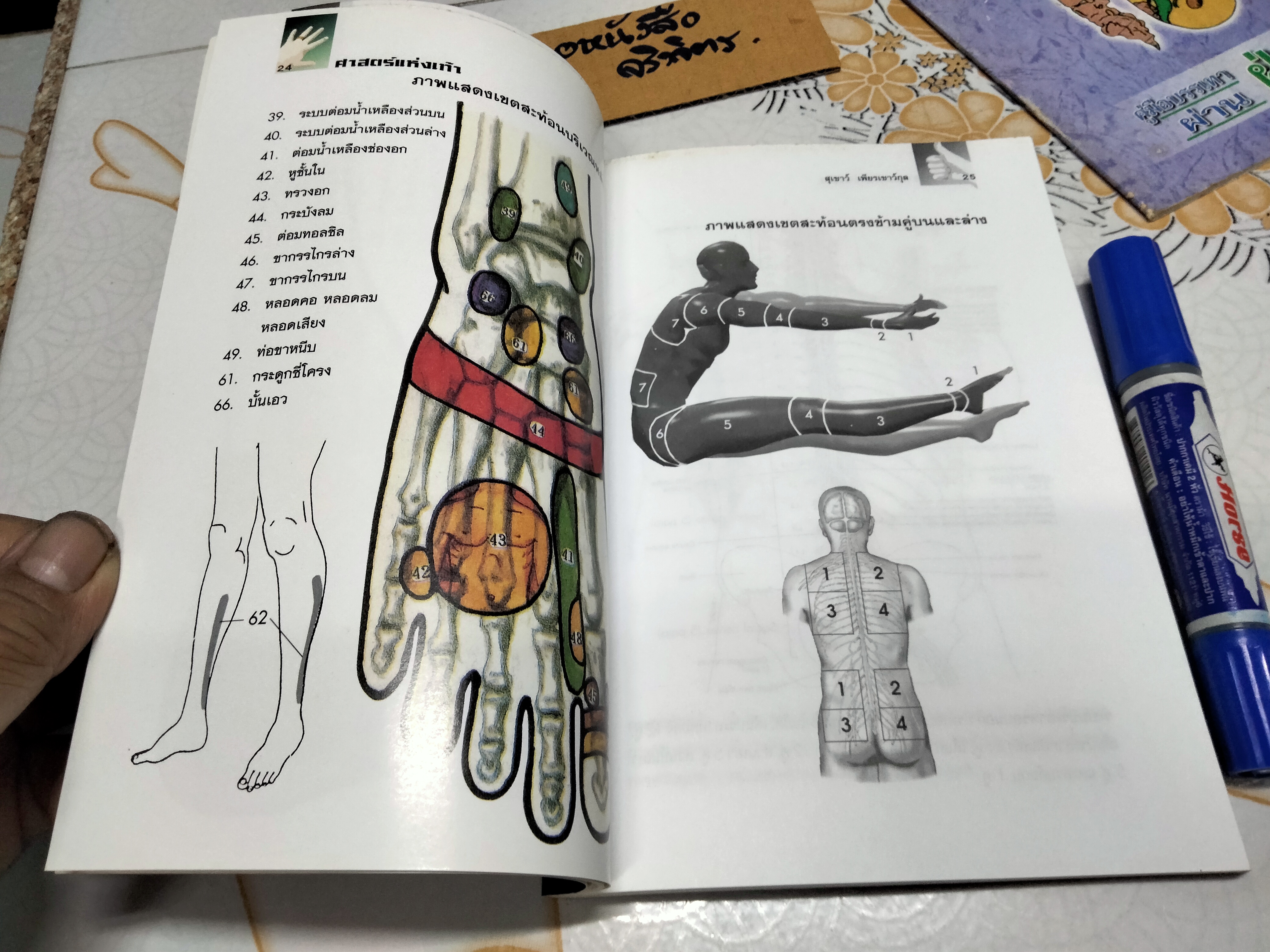 คู่มือหมอประจำครอบครัว ศาสตร์แห่งเท้า โดย สุเชาว์ เพียรเชาว์กุล **สินค้าหมด**