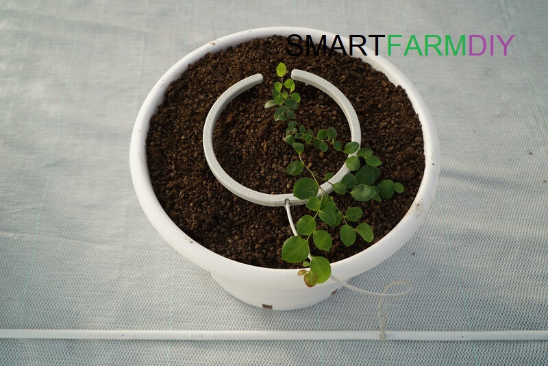 Netbow รุ่น 5 นิ้ว/ 10 นิ้ว